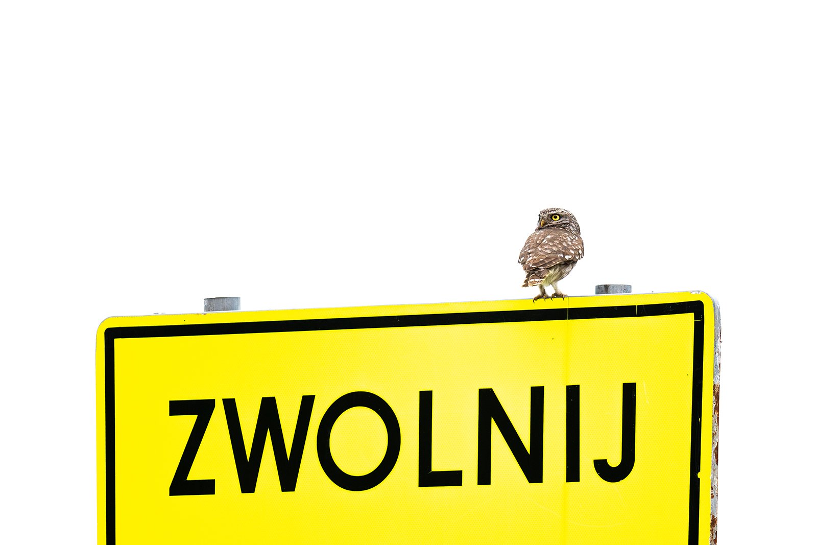 Wildlife-Photography-PTDZ-Poland-x59.jpg