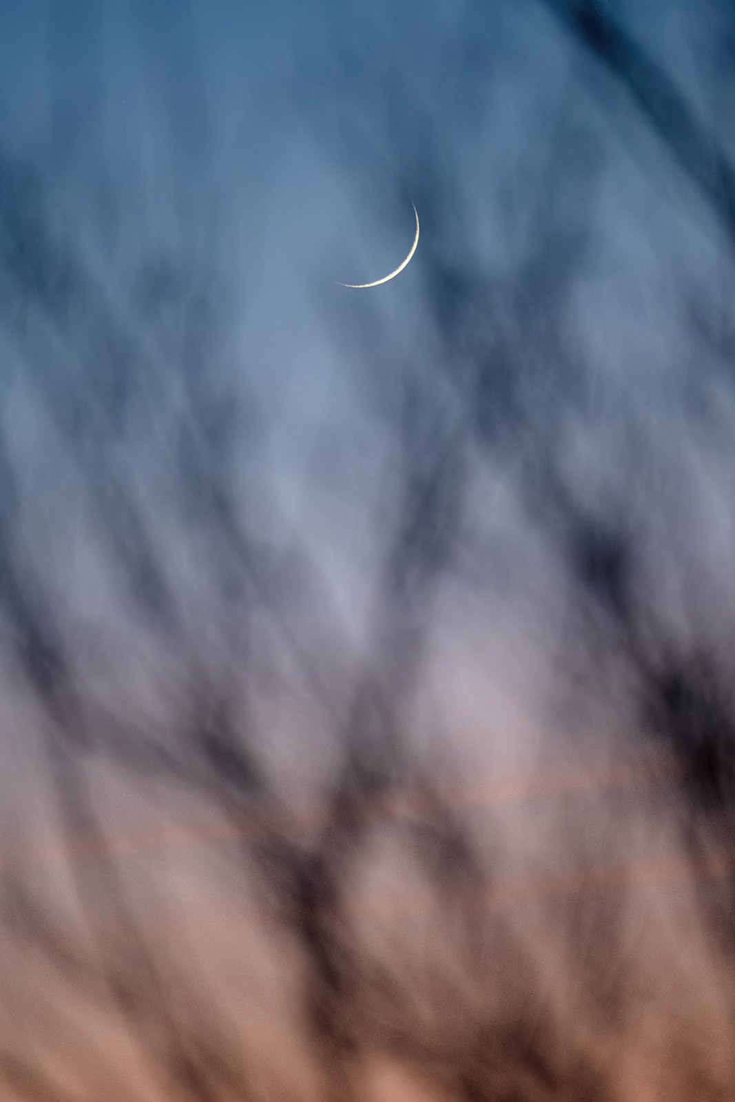 Wildlife-Photography-PTDZ-Poland-x33.jpg