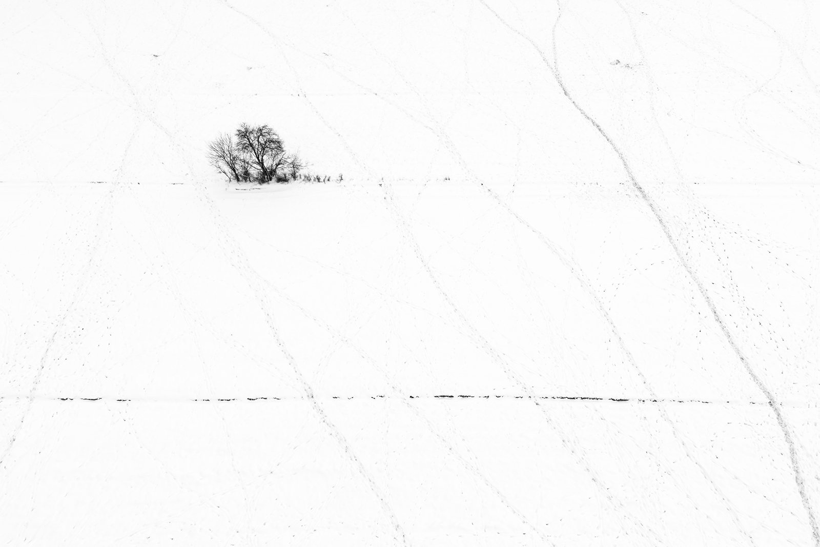 Wildlife-Photography-PTDZ-Poland-x38.jpg