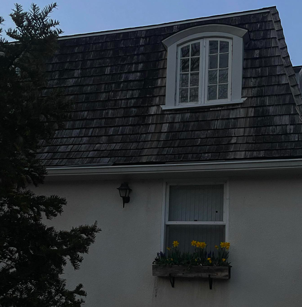 Screen Shot 2024-01-27 at 5.30.53 PM.png