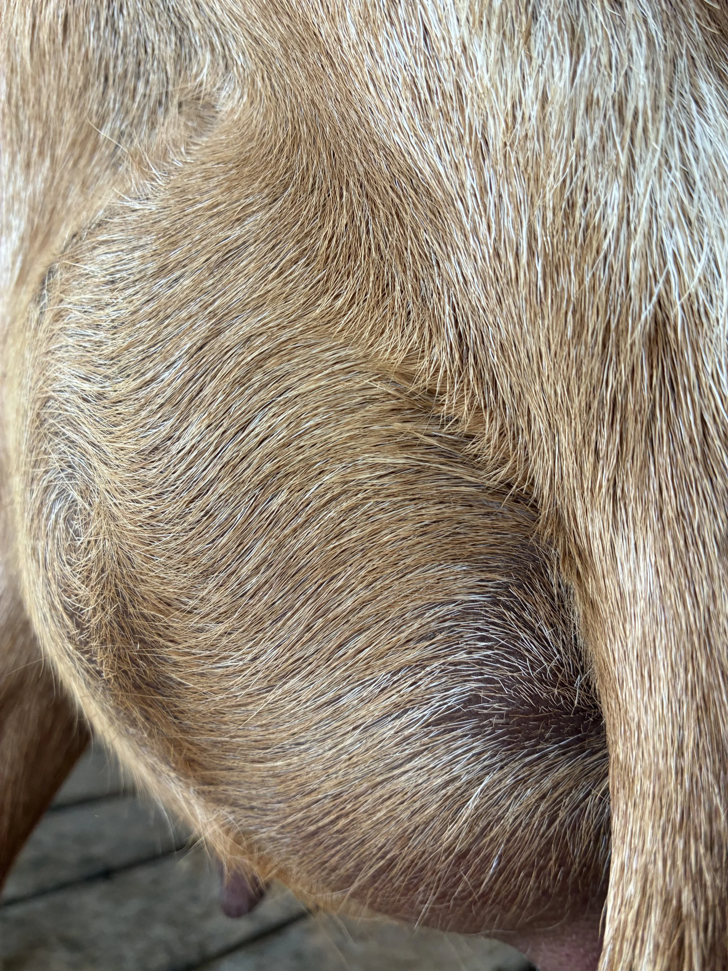 Love (3F) pictured 9/4/25