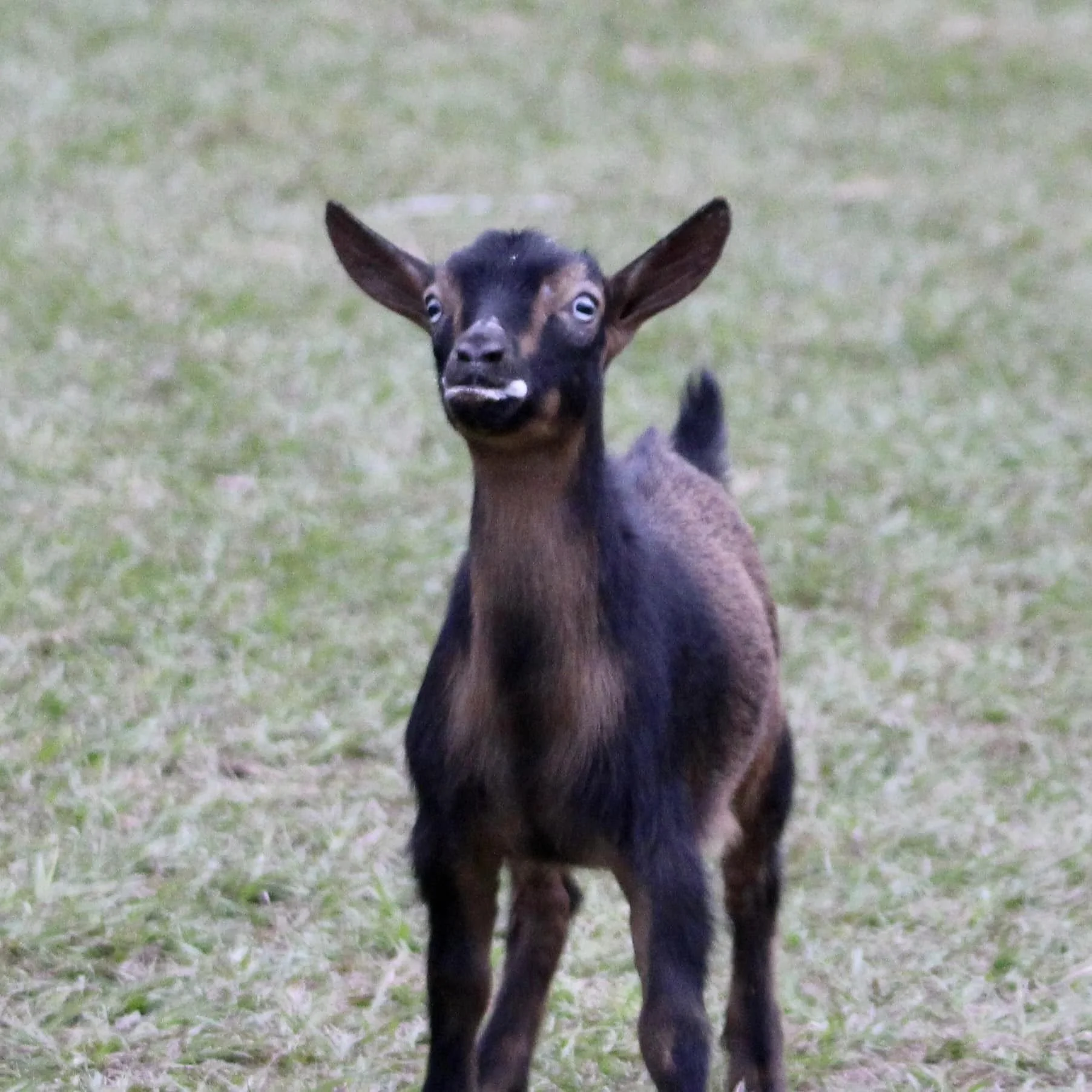 Mason as a kid, photo courtesy of Winning Streak Nigerians