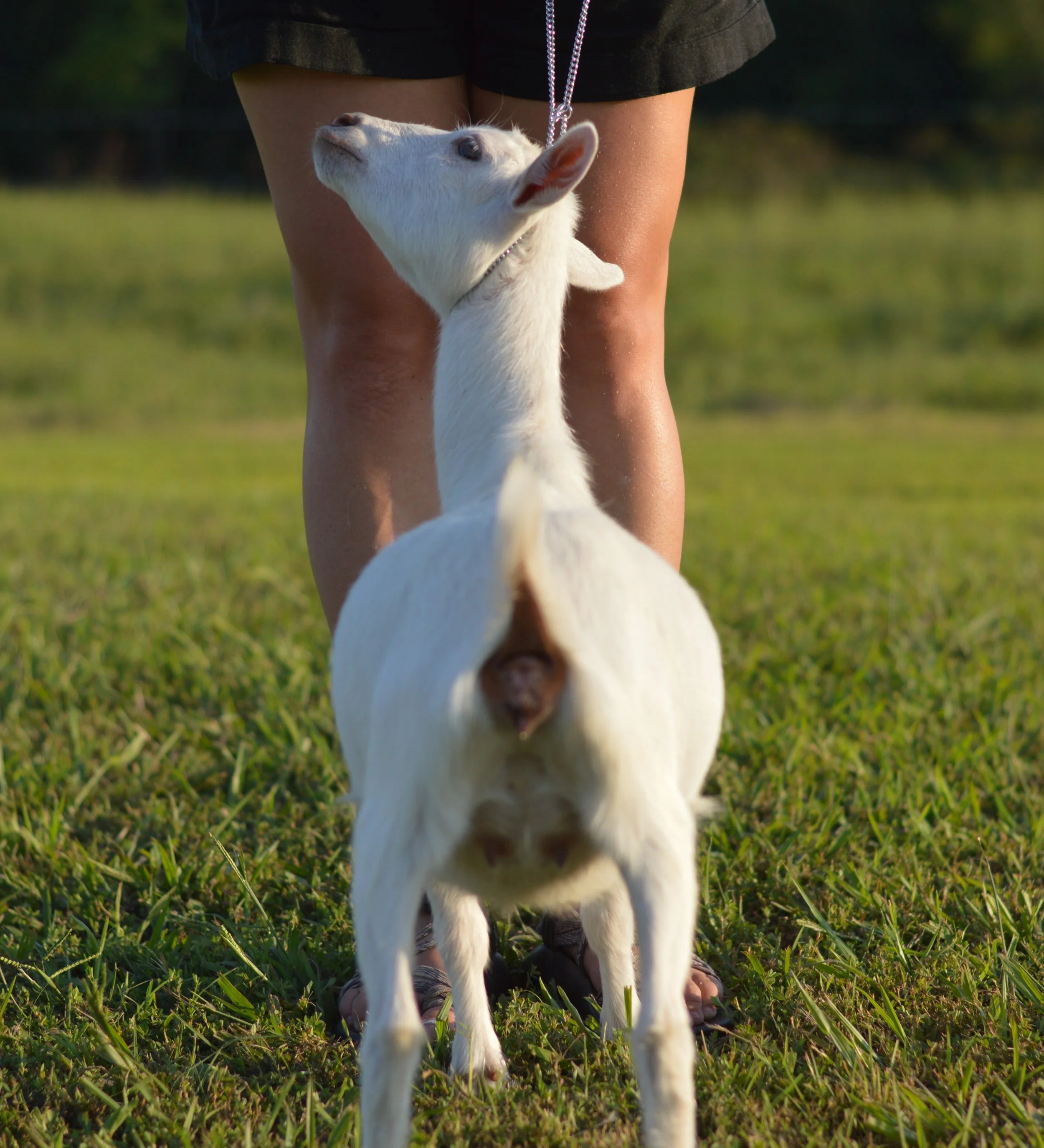 Q-Tip as a junior, photo taken 09/19/2022