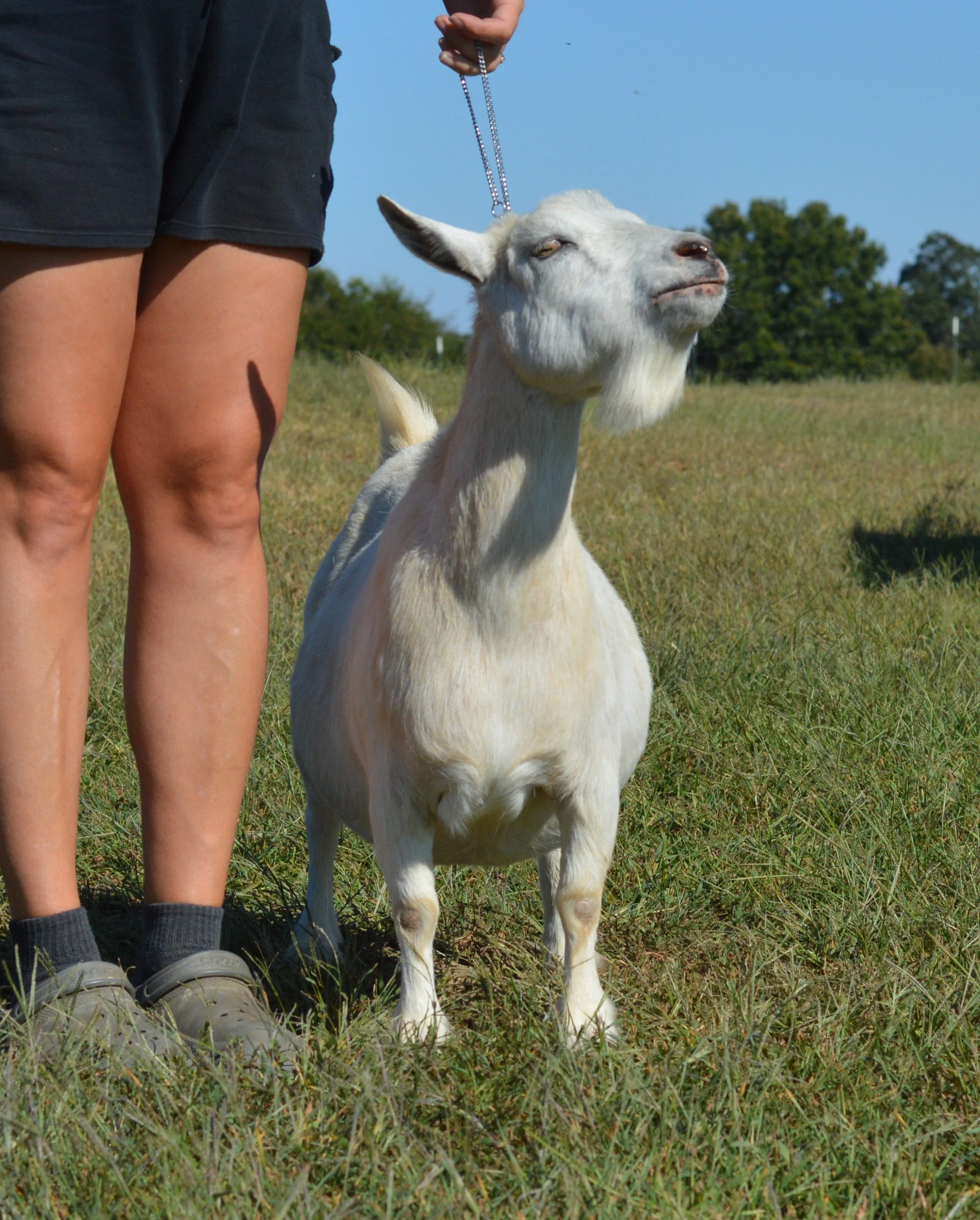 Photo taken 09/27/2022