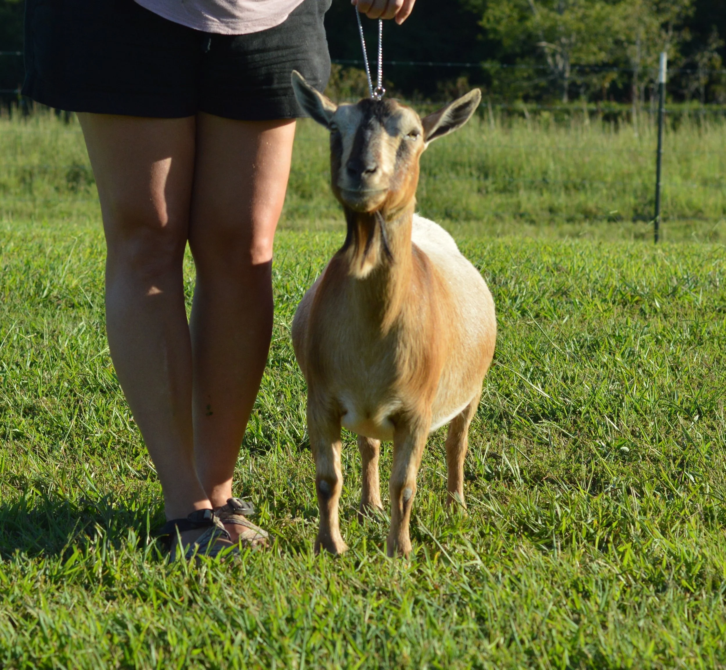 Rosie dry, photo taken 09/12/2022