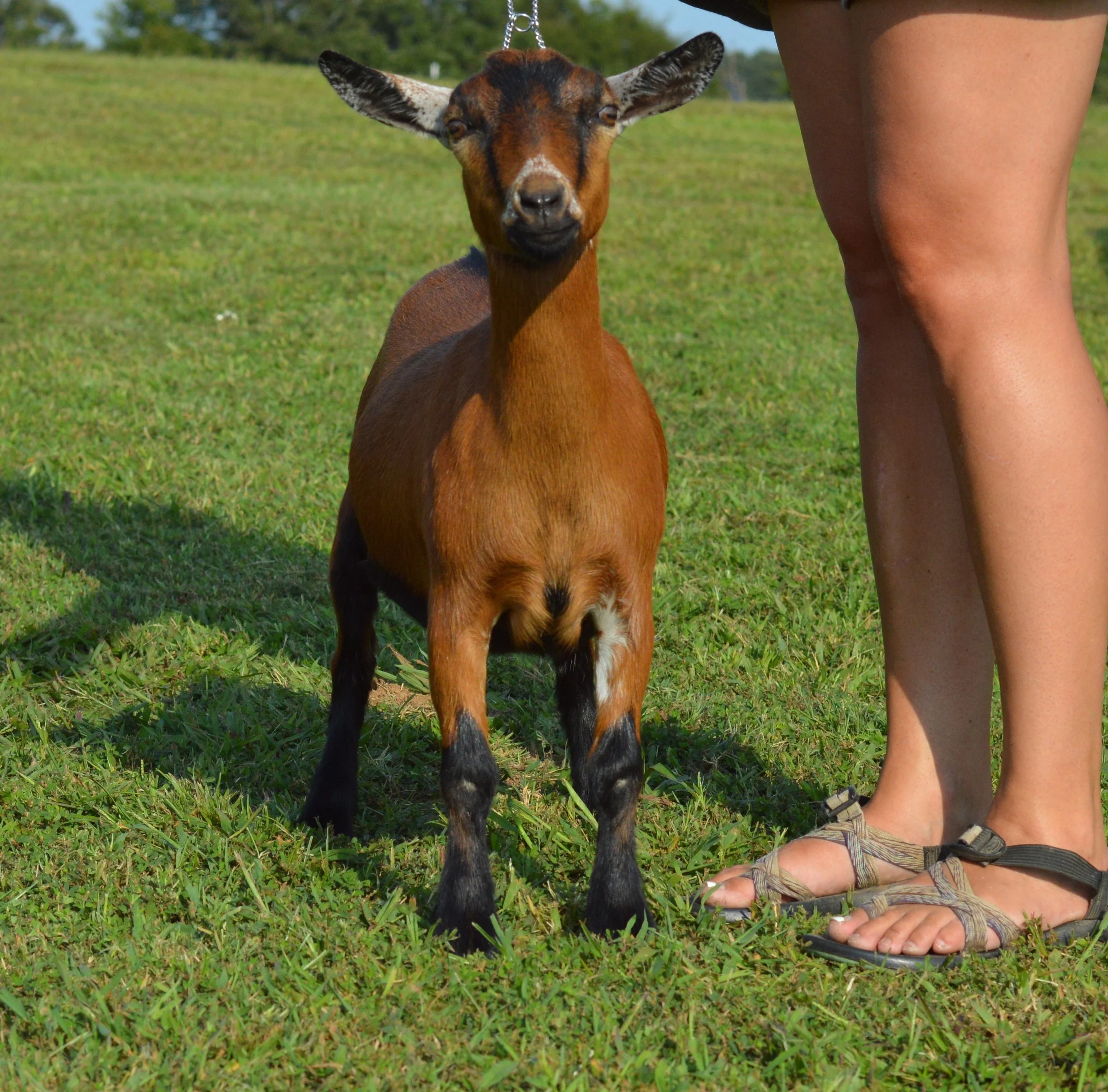 Lou as a junior, photo taken 09/19/2022