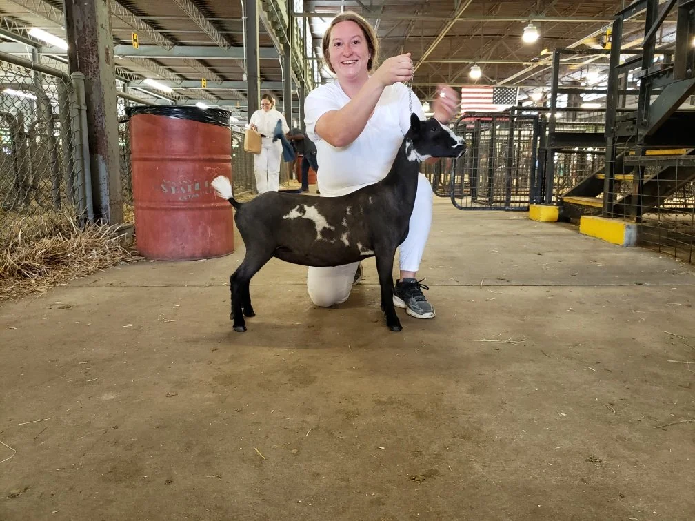 Candy at the 2022 AGPA Quad show after winning JRGCH, May 2022
