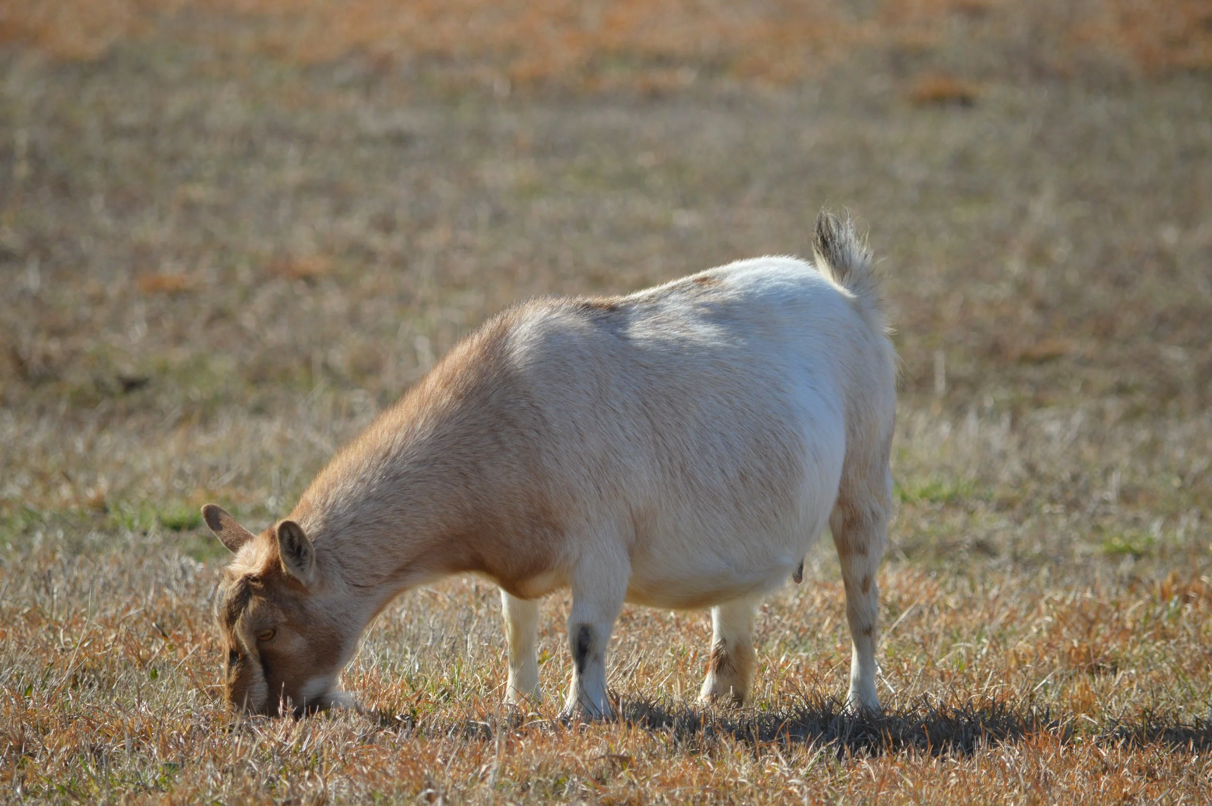 June pictured 2/12/26