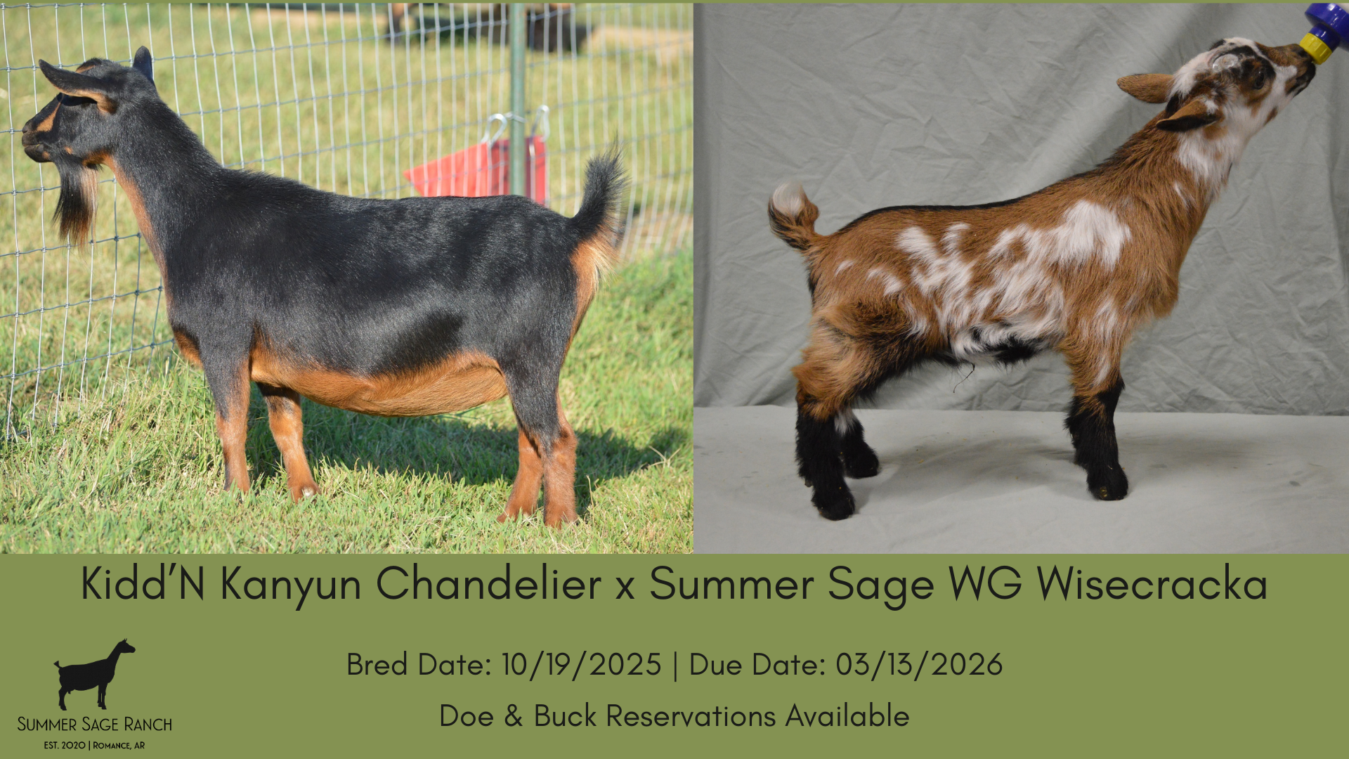 Chandelier x Cracka.png