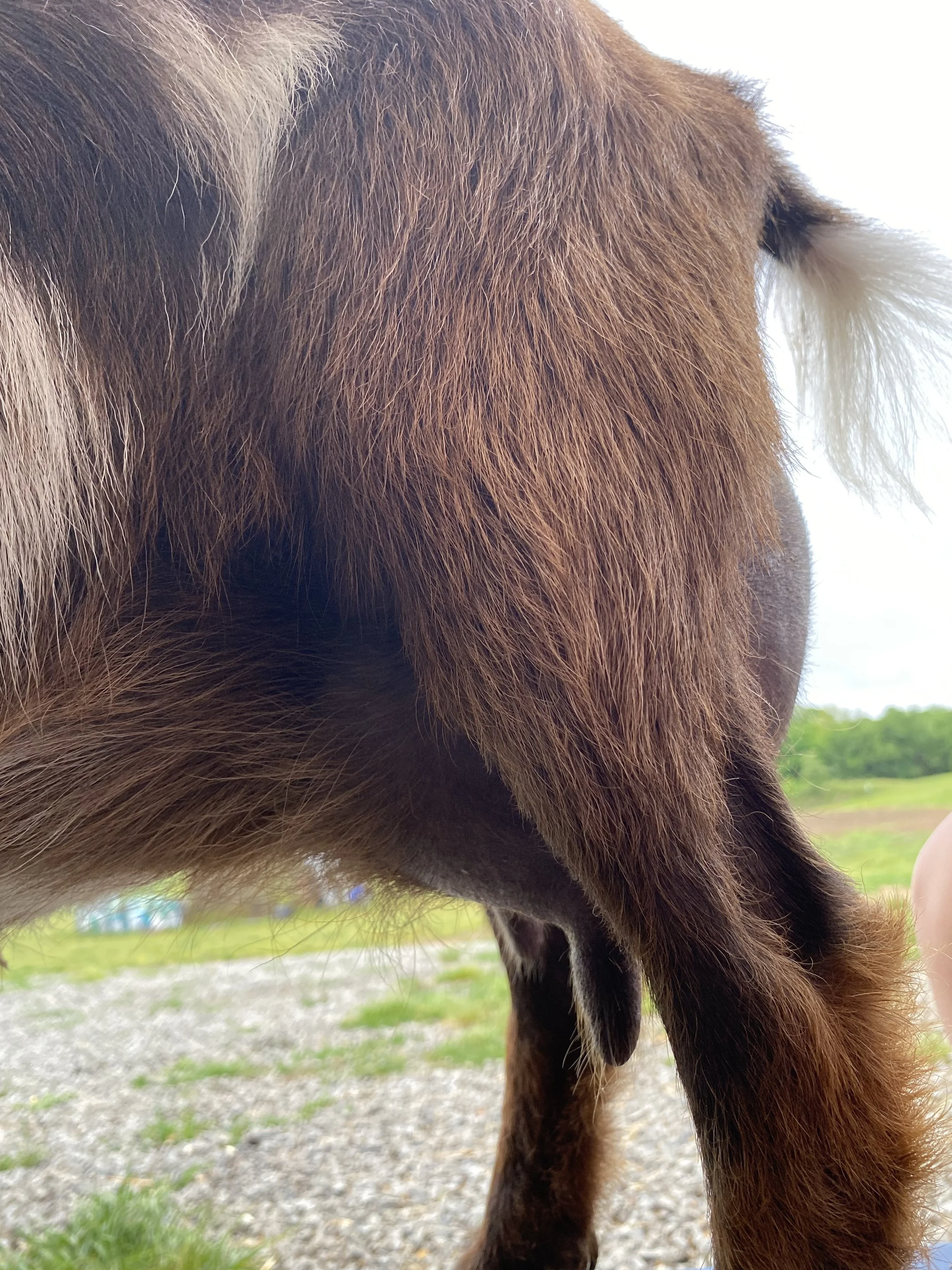 Rona, photo taken 05/01/2025