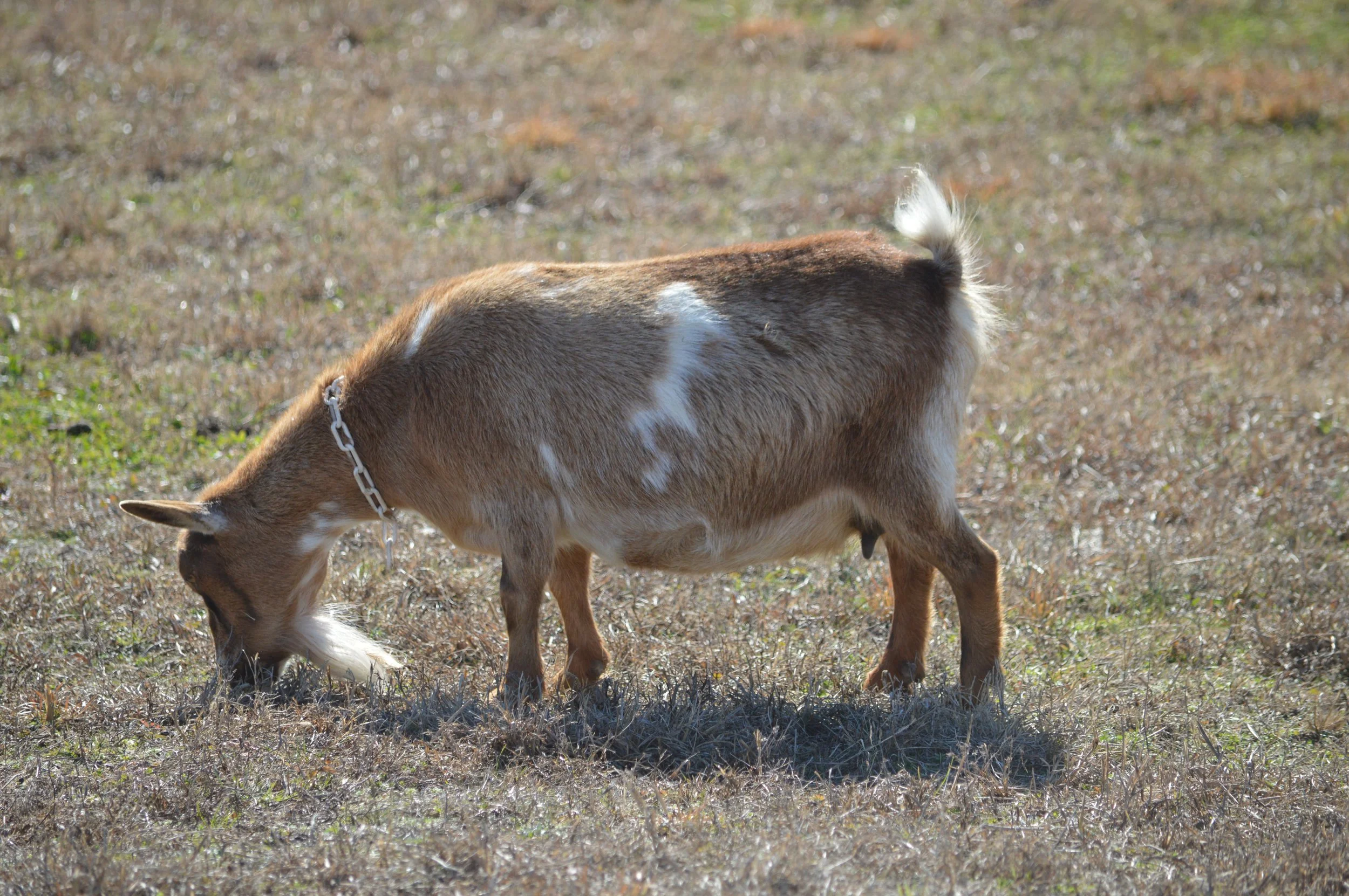 Love pictured 2/12/26