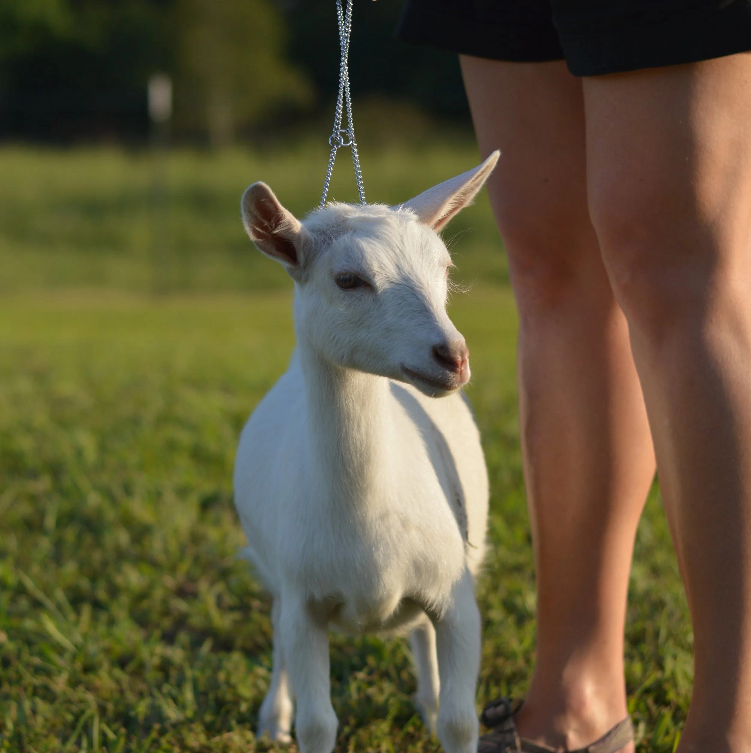 Q-Tip as a junior, photo taken 09/19/2022