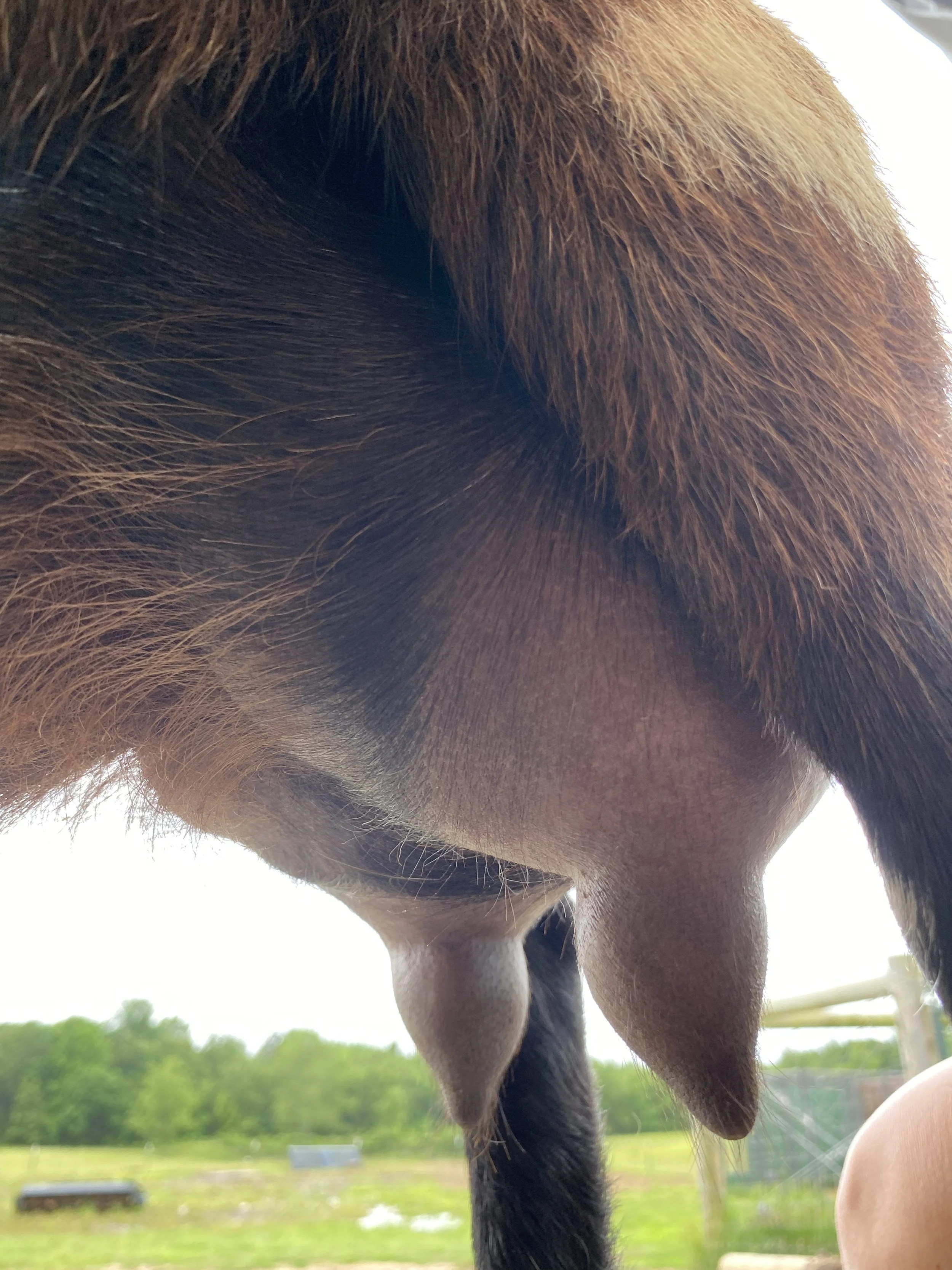 Bindi pictured 5/20/25