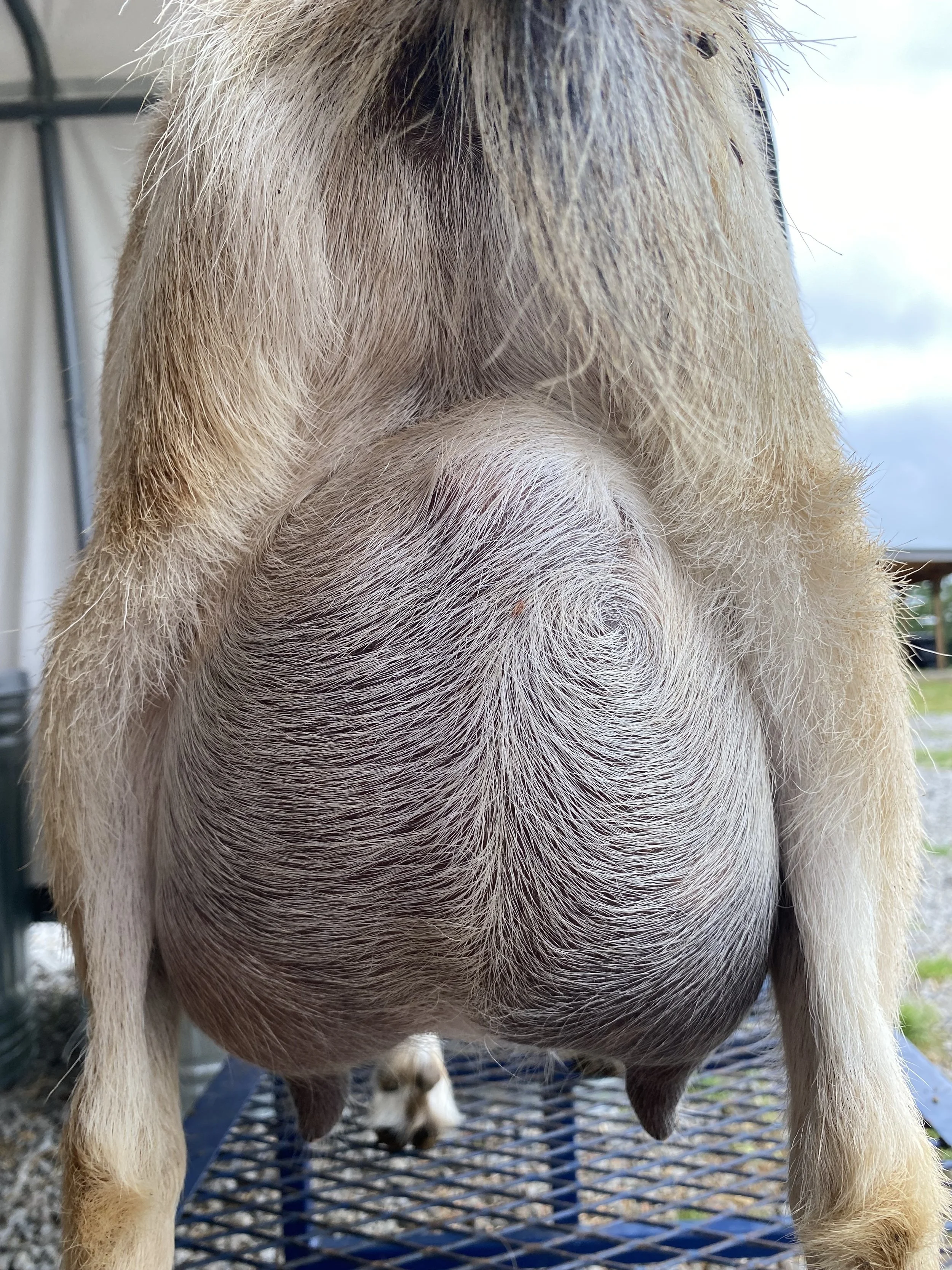 June (3F) pictured 5/1/25