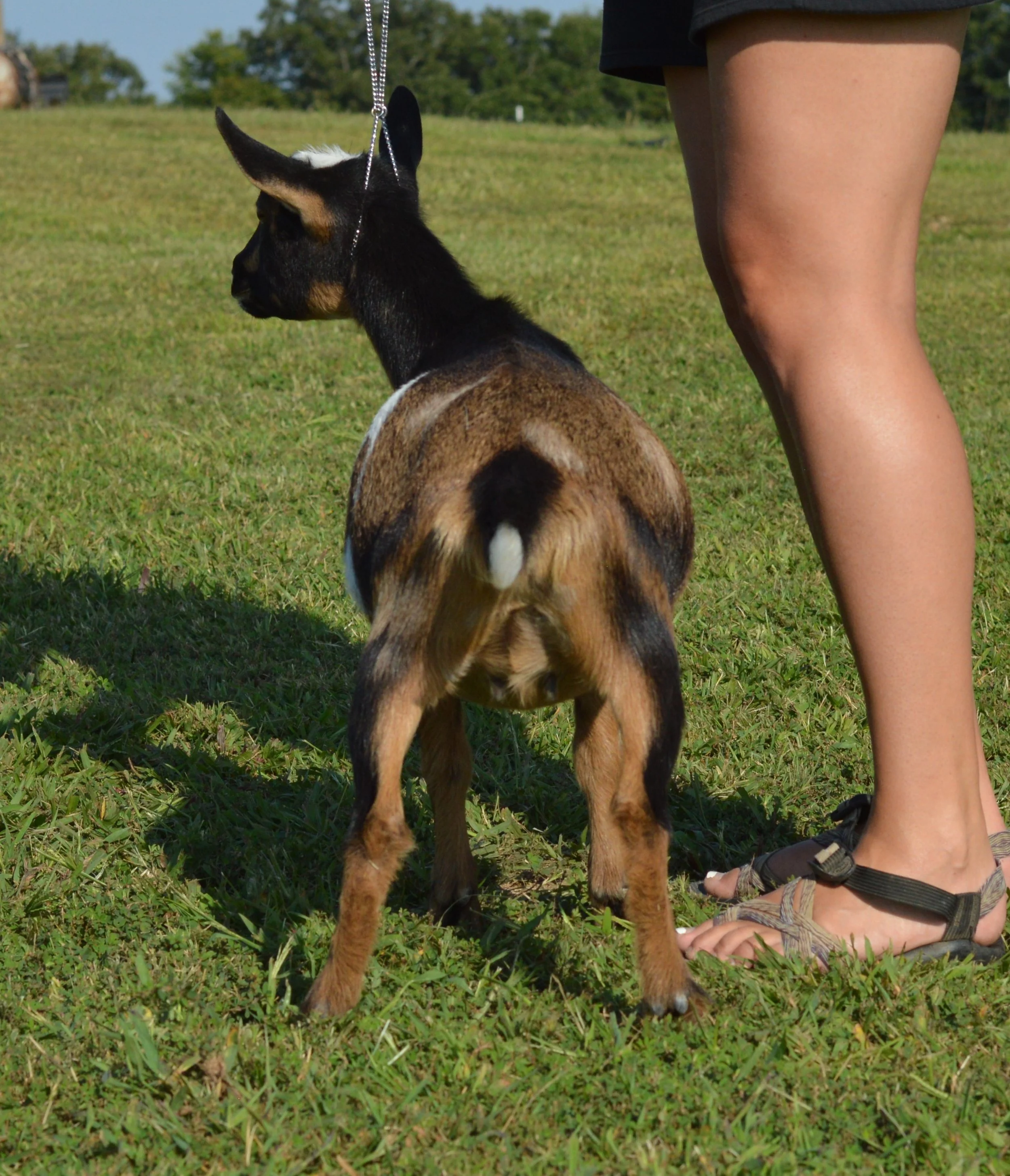 Beauty as a junior, photo taken 09/19/2022