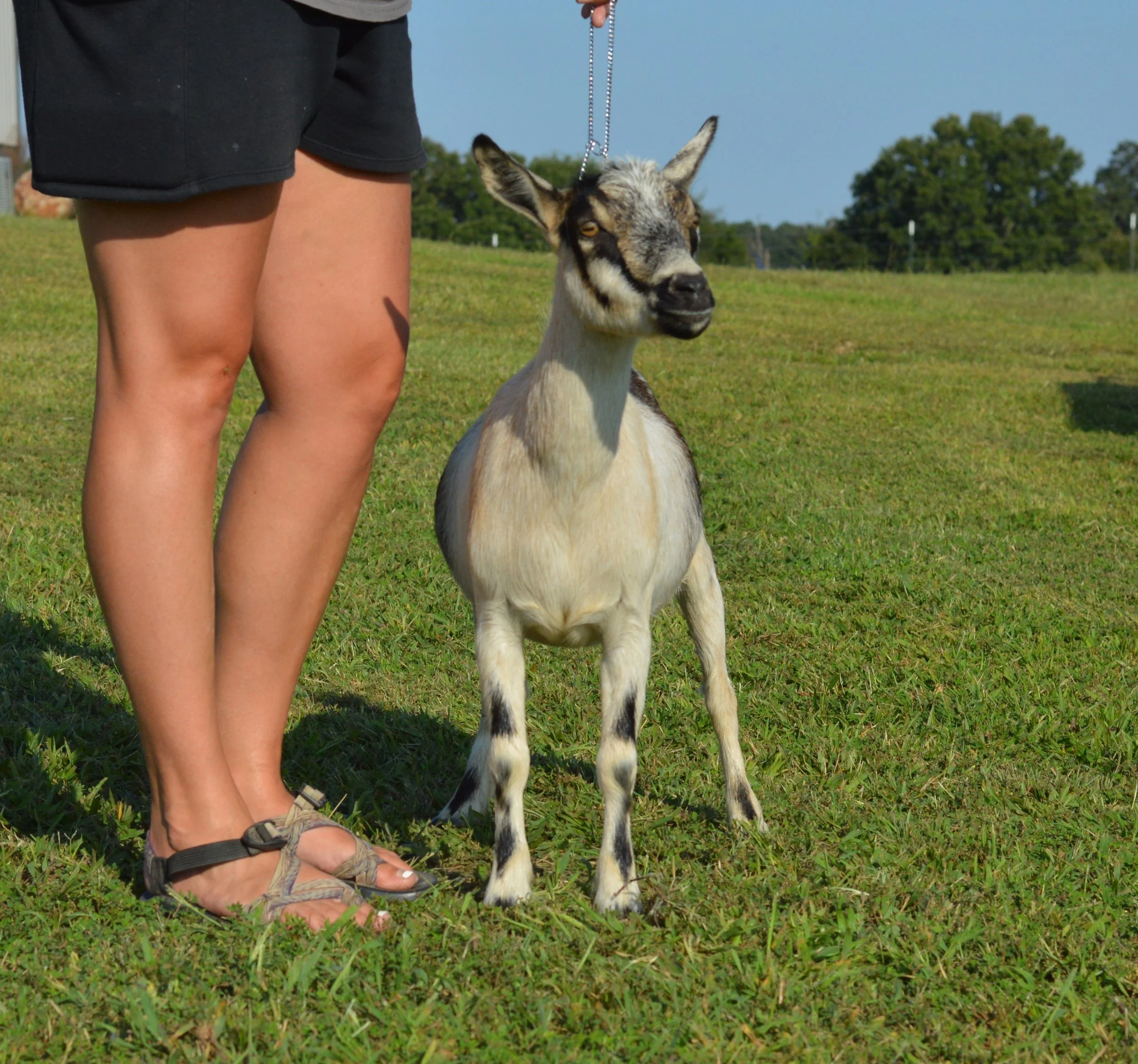 Lucia, photo taken 09/14/2022