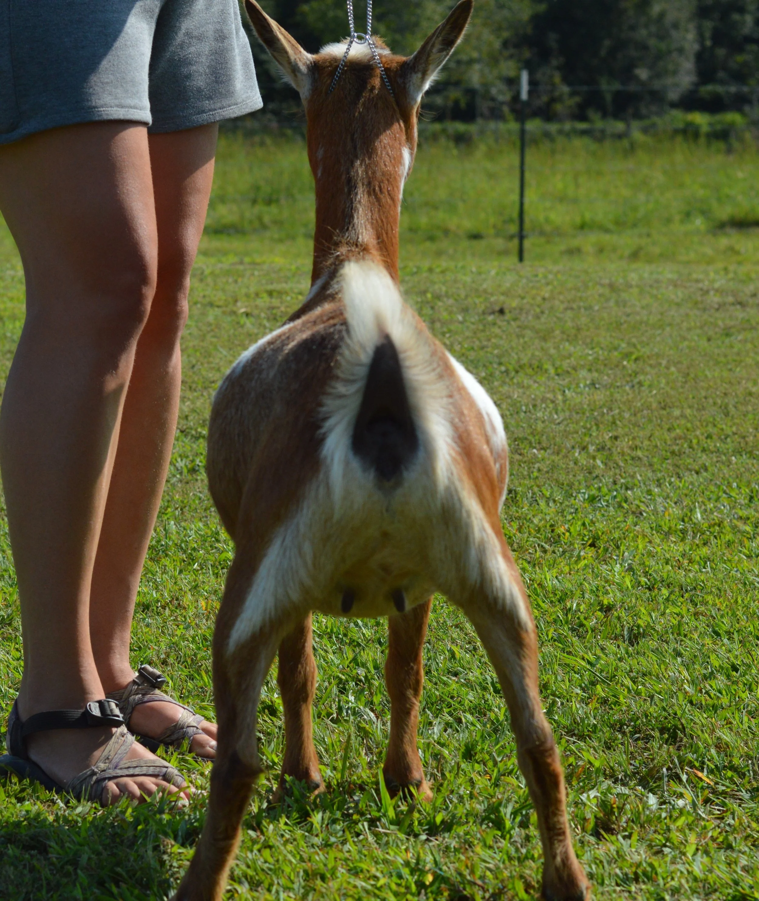 Love, photo taken 09/13/2022