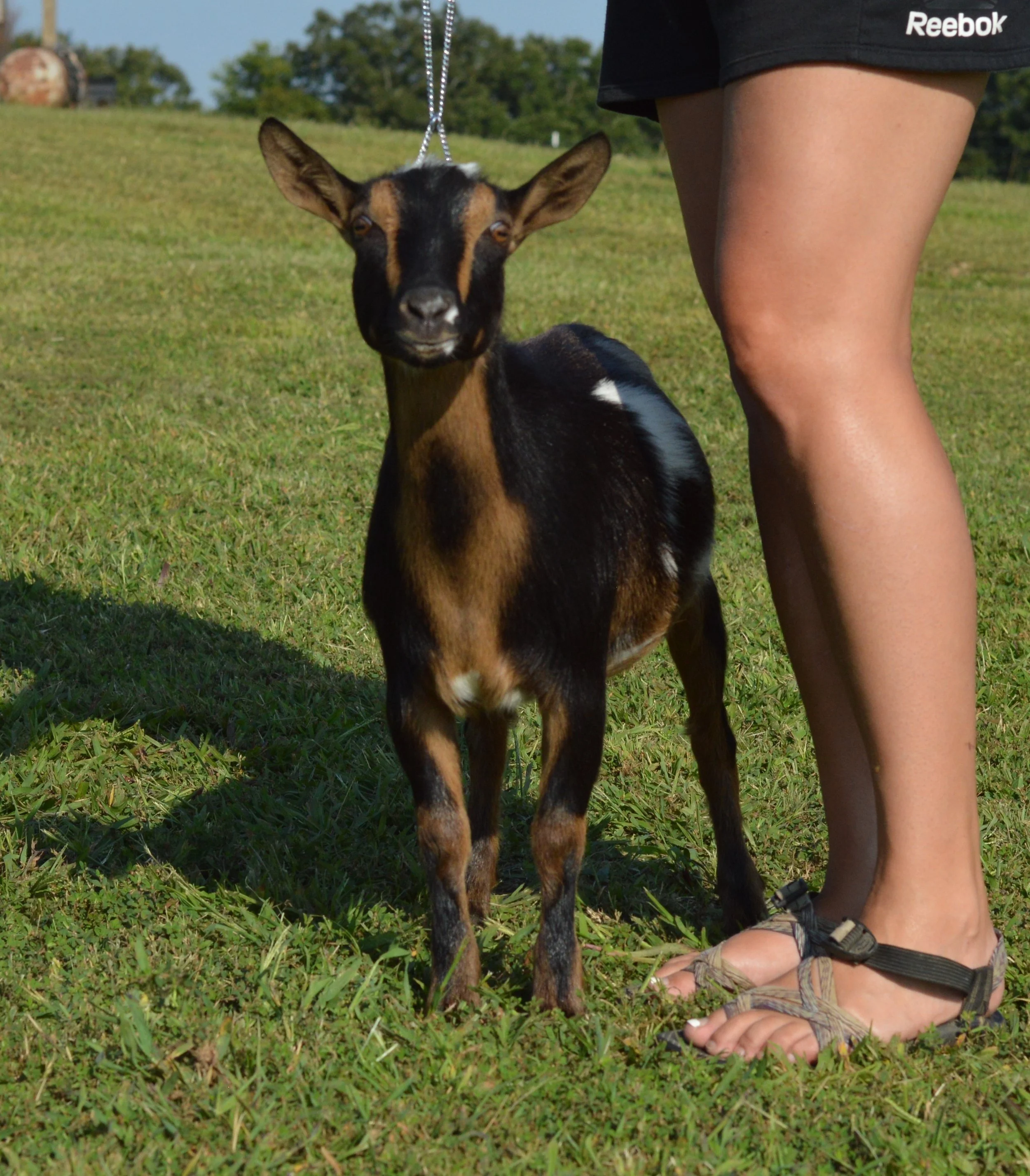 Beauty as a junior, photo taken 09/19/2022