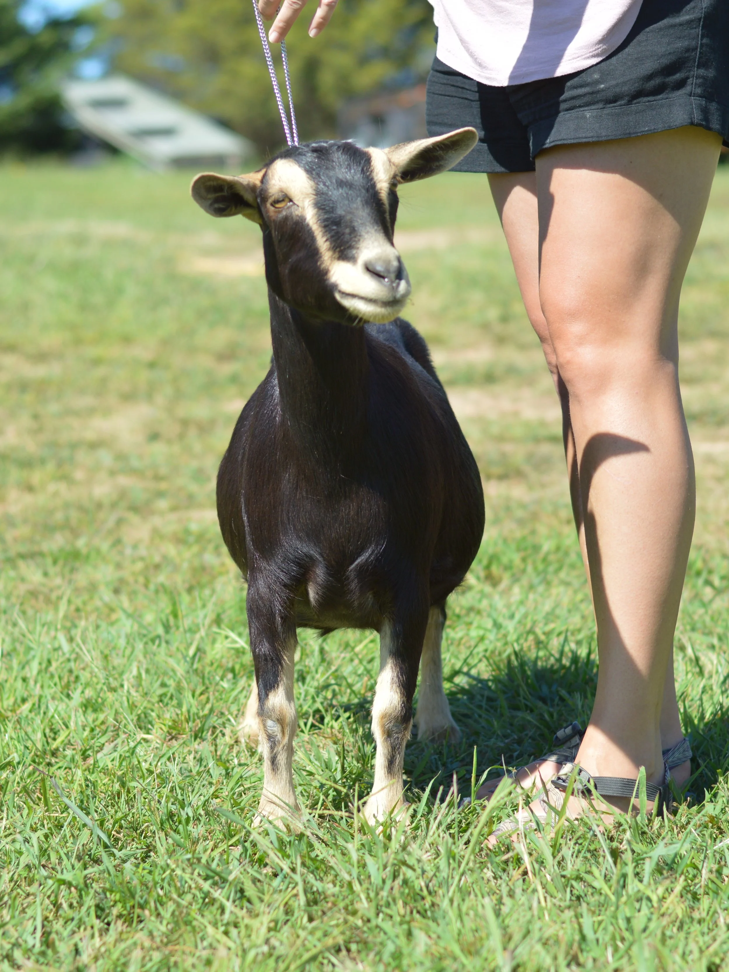 photo taken 09/12/2022