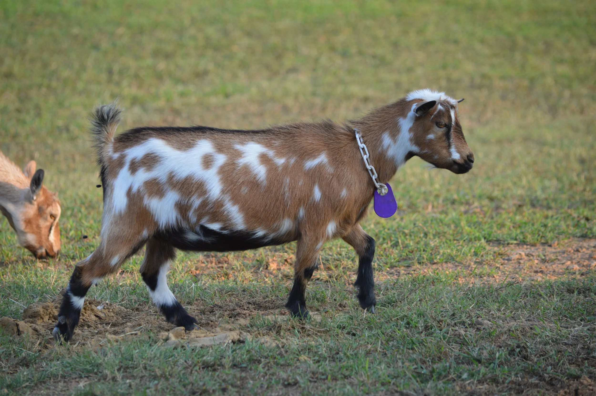 Quita pictured as a junior, photo taken 9/09/2024