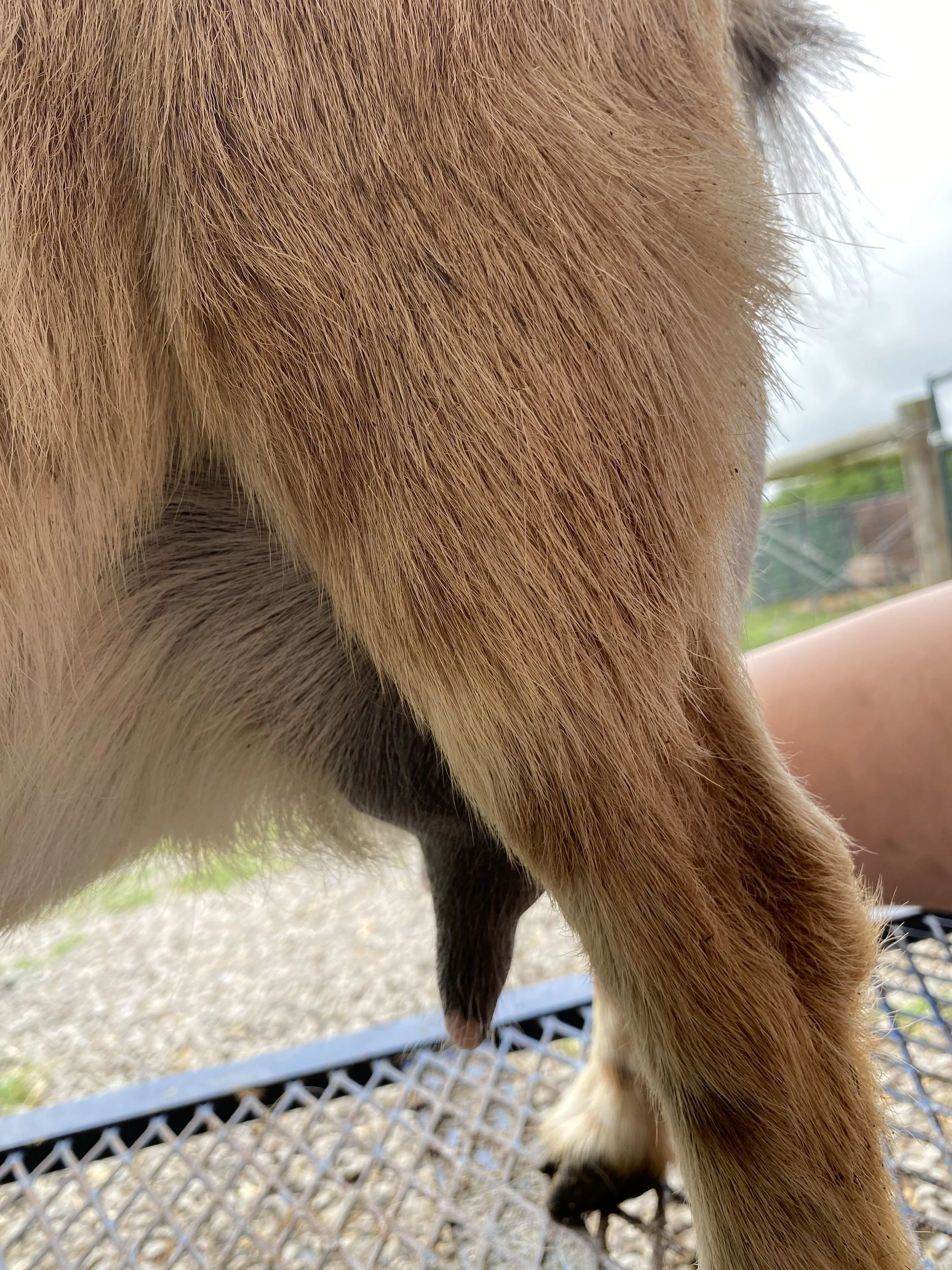 June (3F) pictured 5/1/25