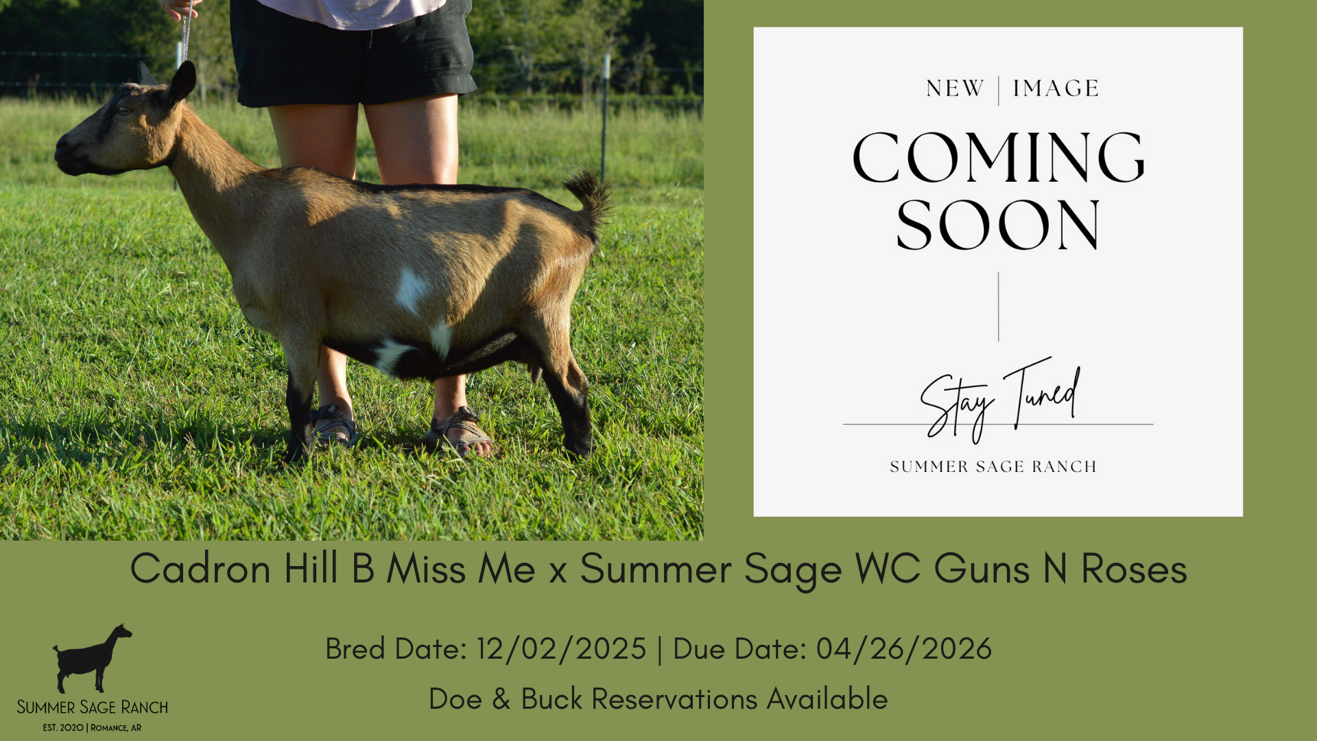 Miss Me x Gunner.png