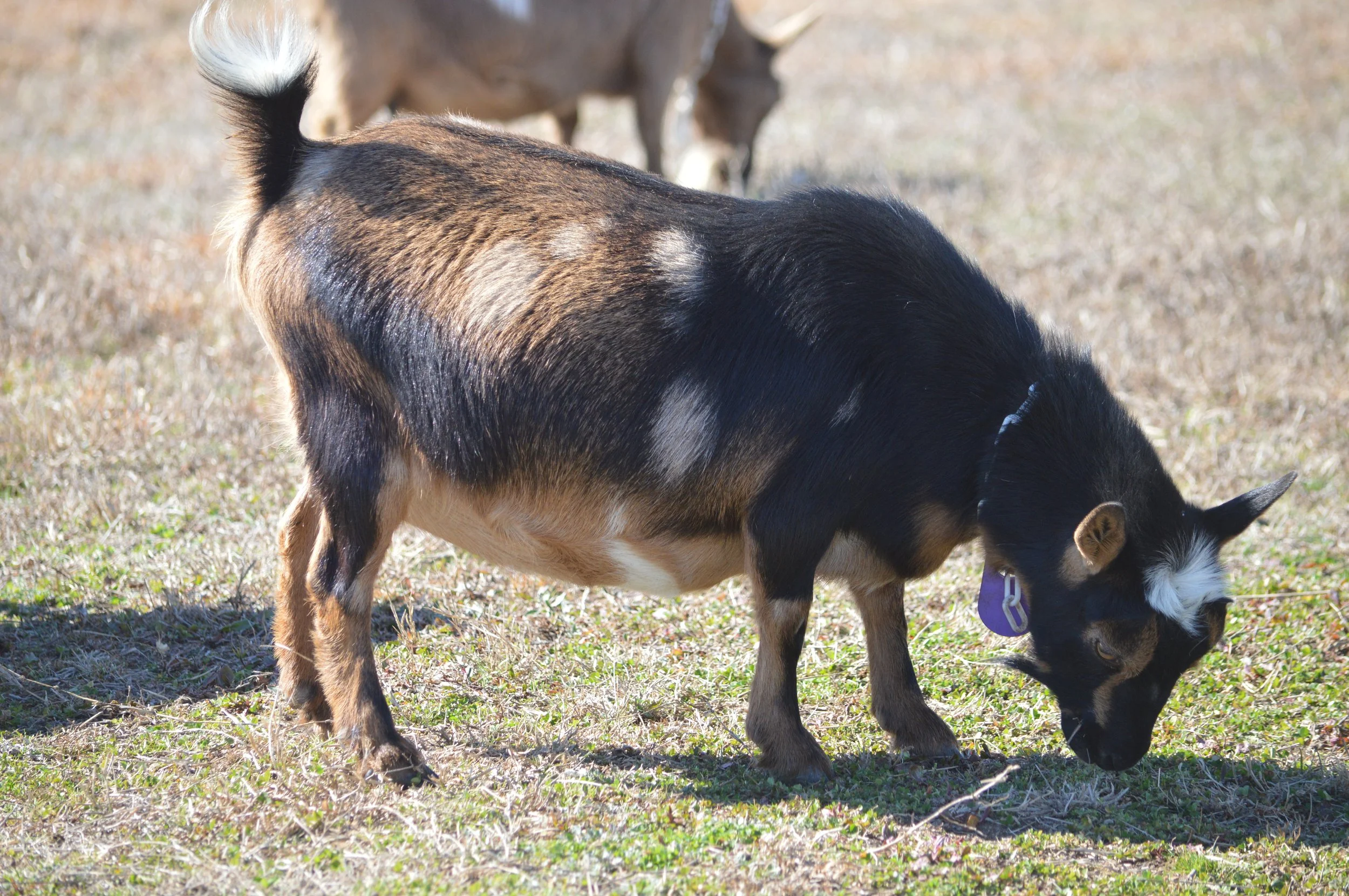 Beauty pictured 2/12/26