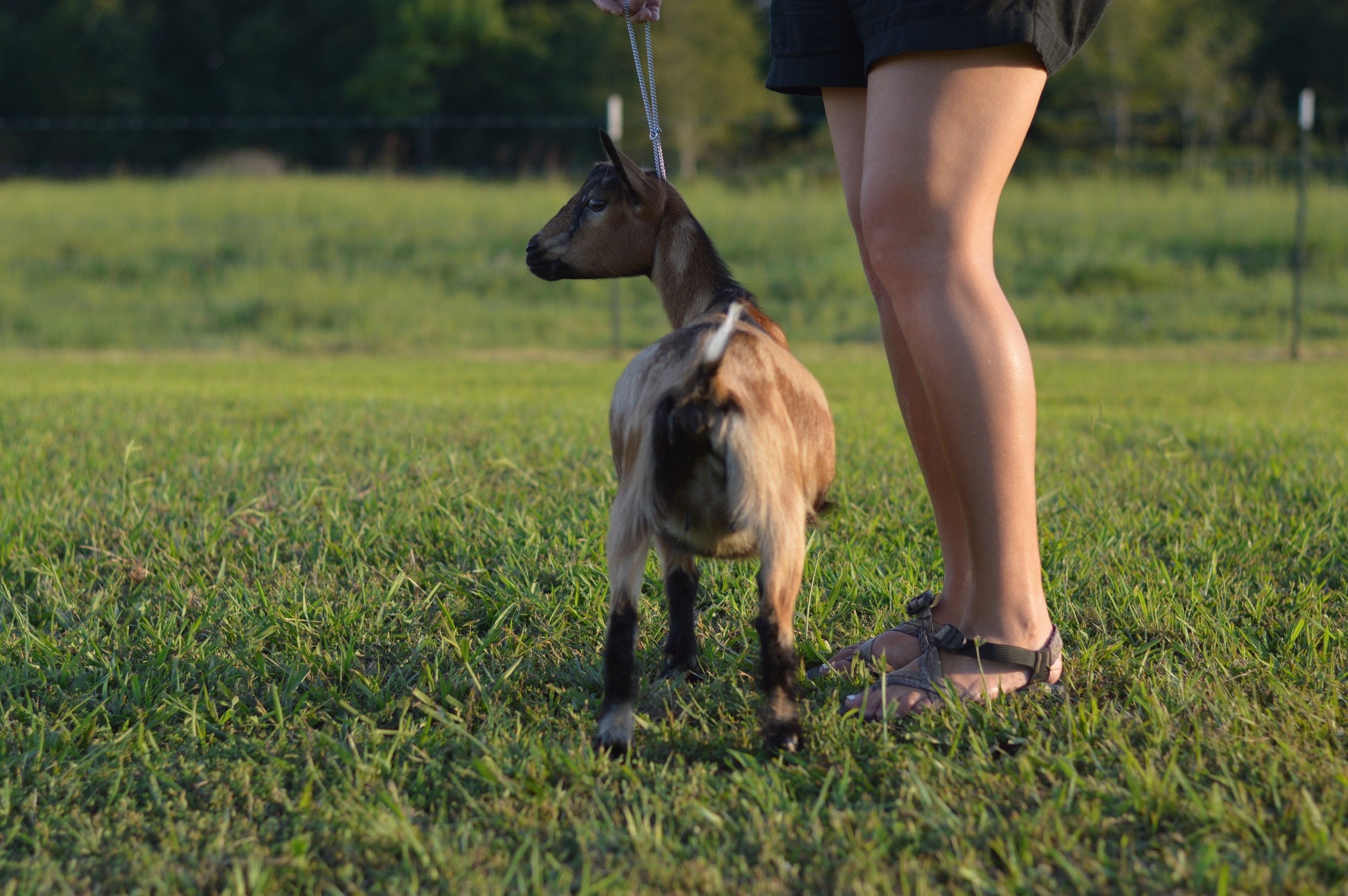 Vini as a junior, photo taken 09/09/2022