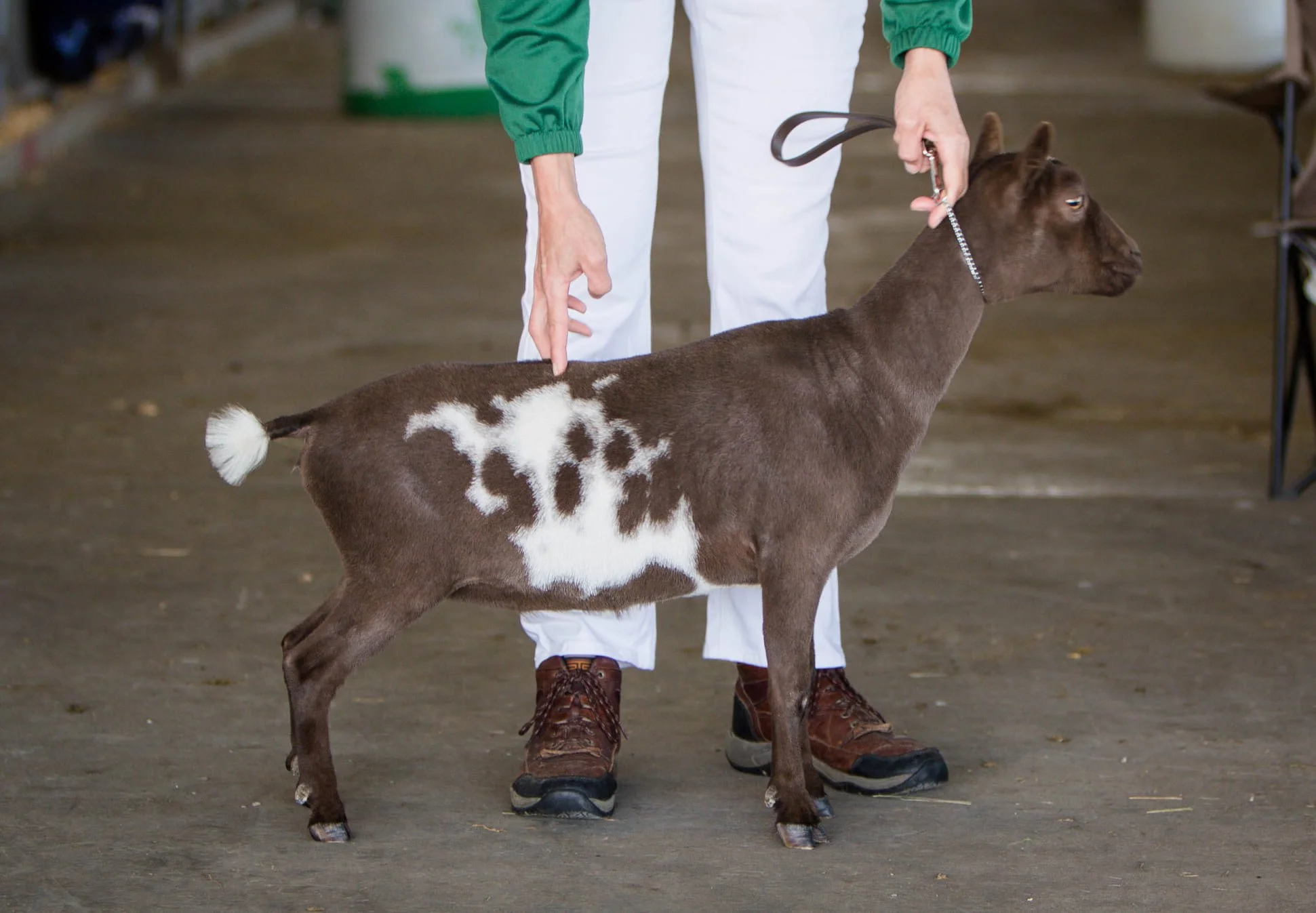 Rona as a junior. Photo courtesy of Celtic Pride Farm