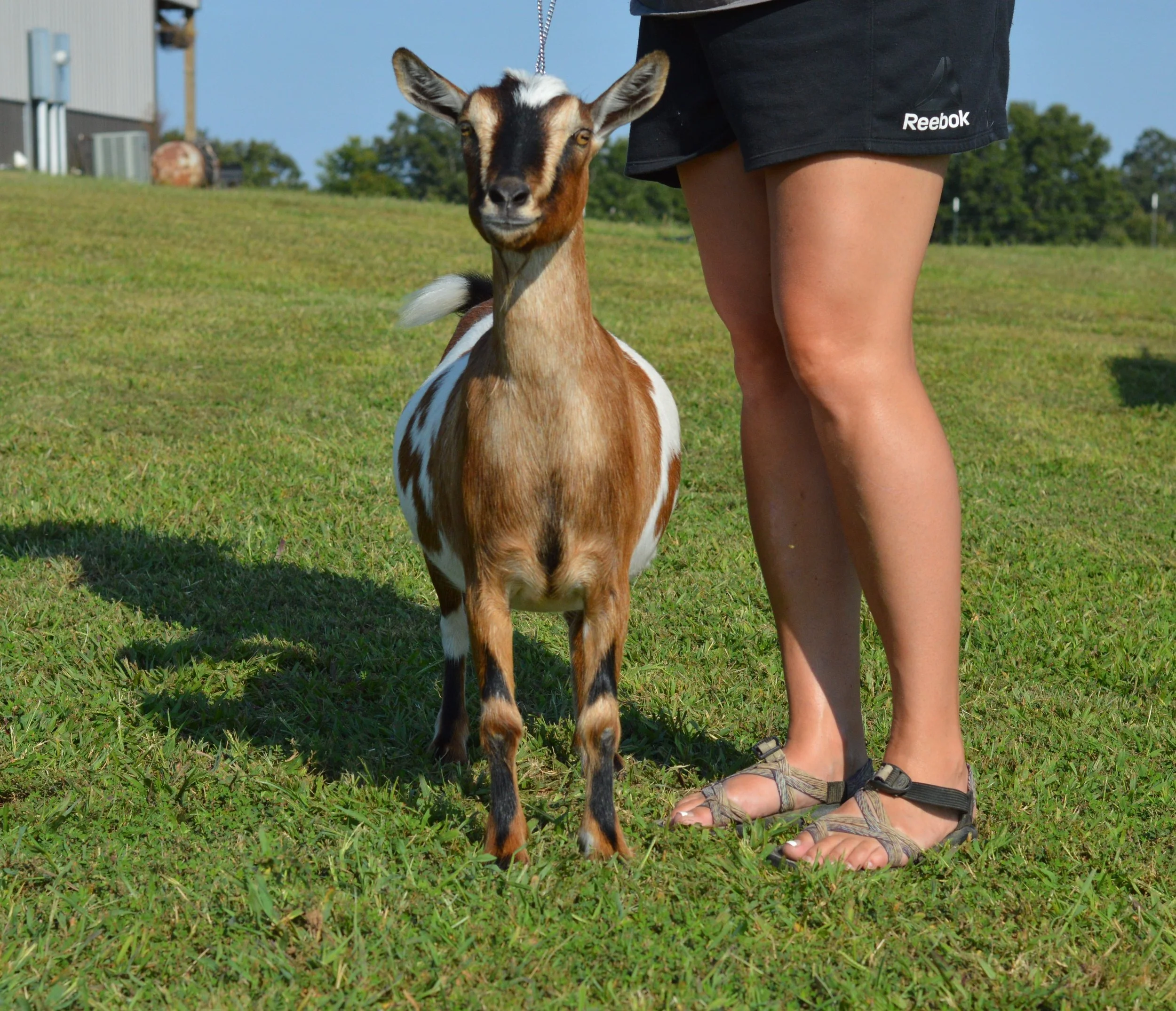 Butterfly, photo taken 09/14/2022