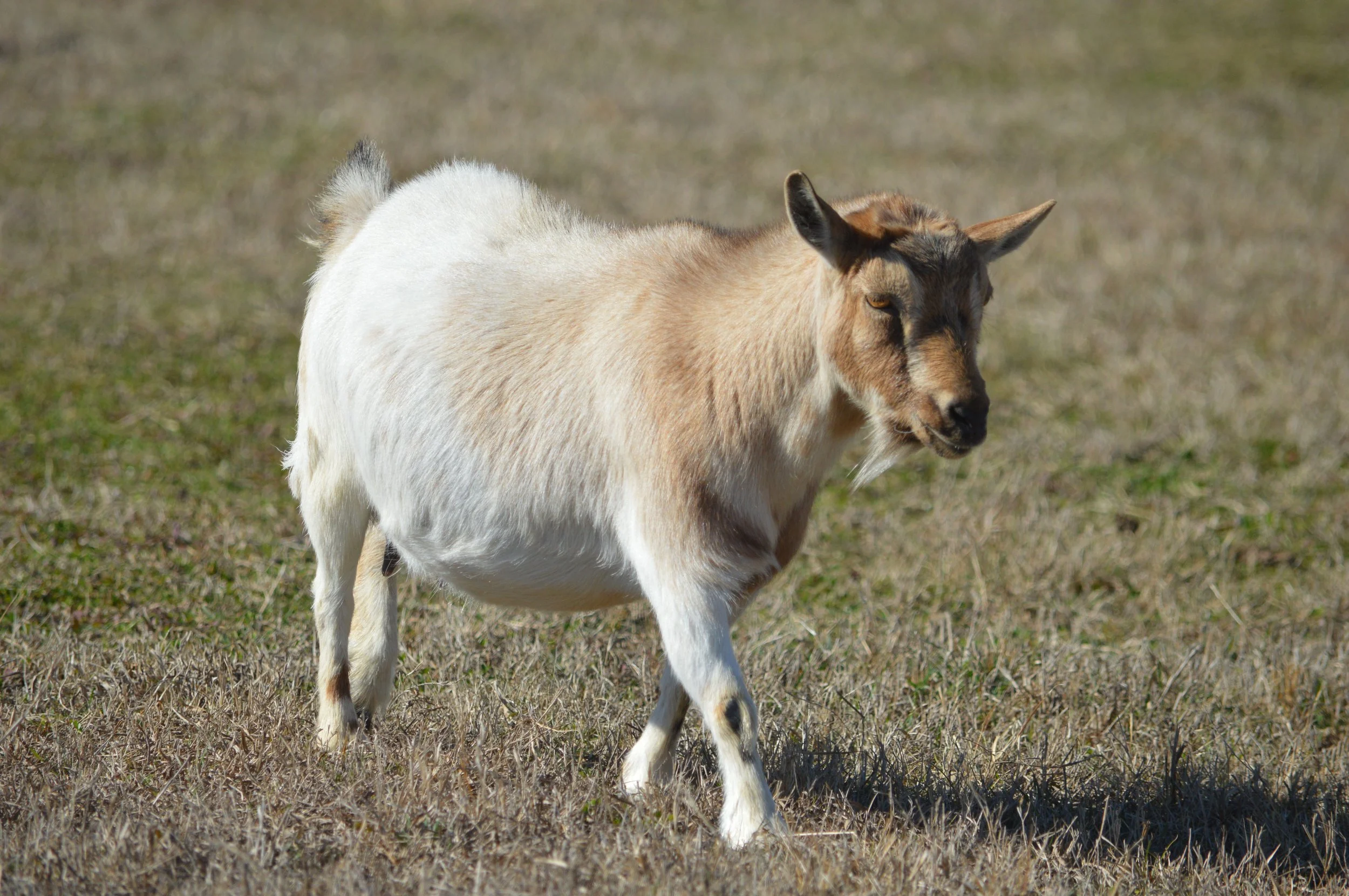 June pictured 2/12/26