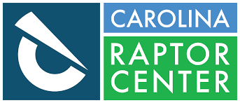 The Raptor Center comes to TLH!