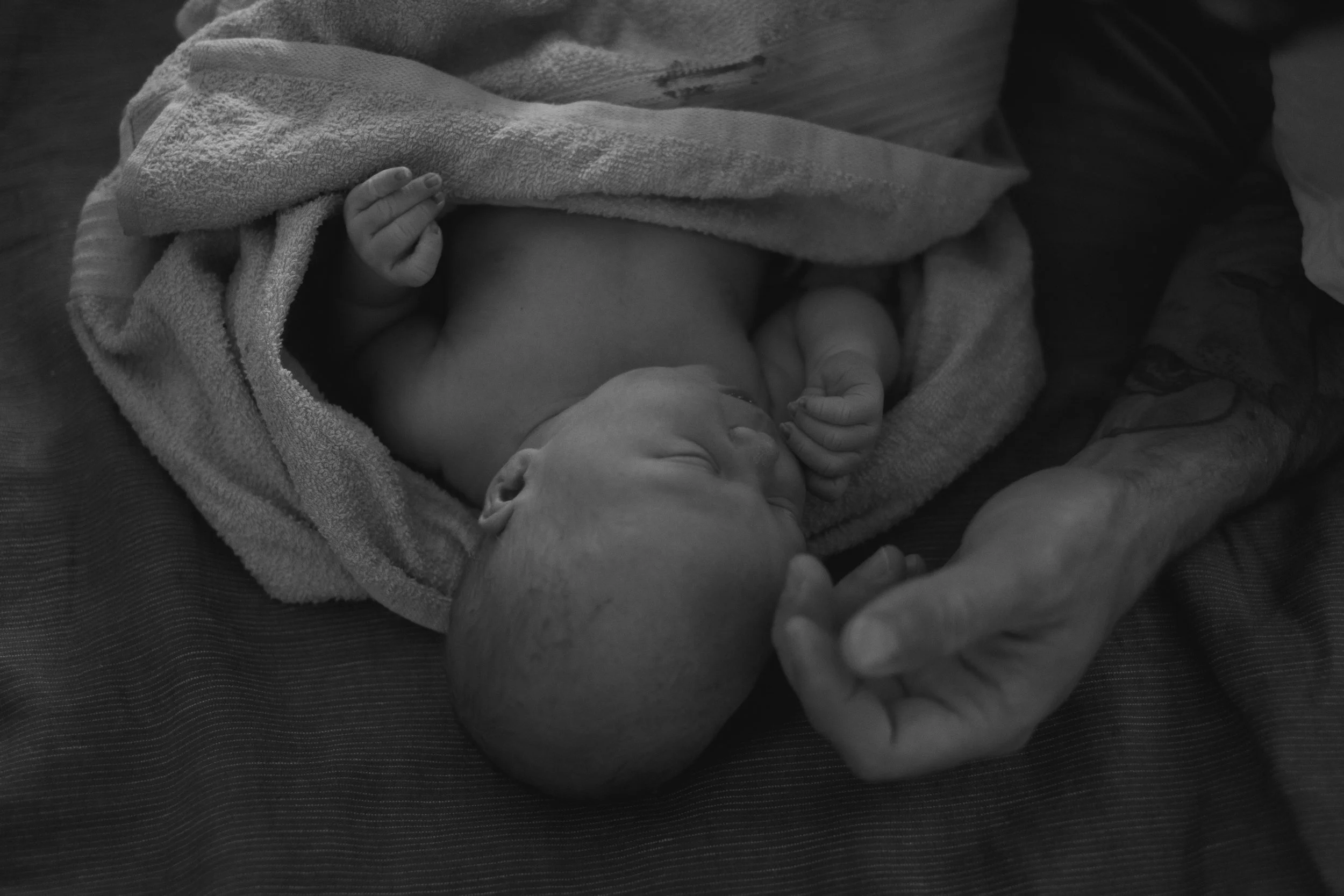 Zion Elliott Lazarevski-030.jpg