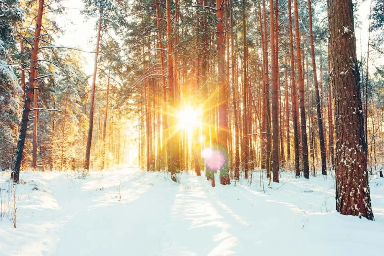 Turning the Corner Toward the Light