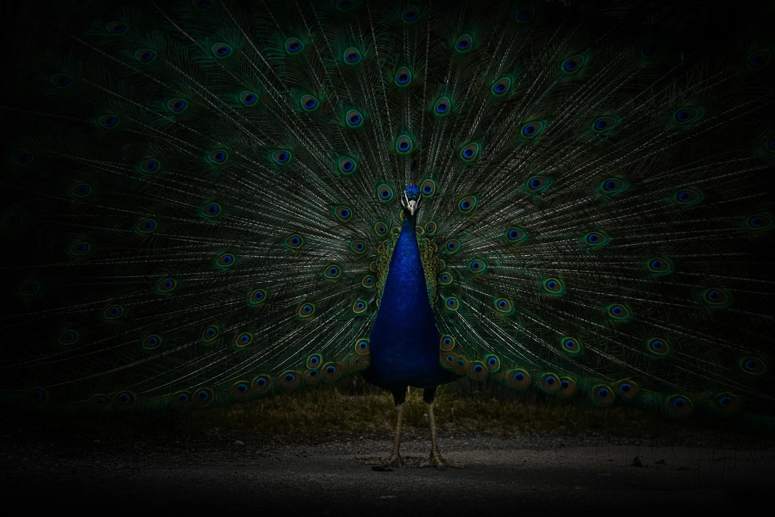 Pride Will Kill Your Ministry Before You Even Know It's There