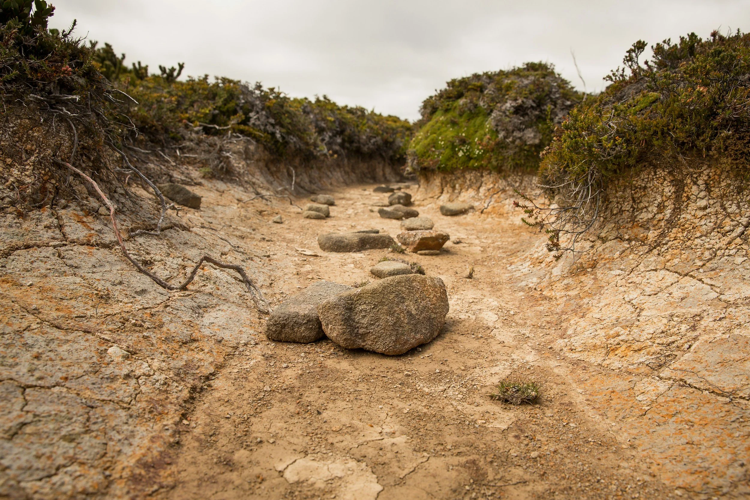 When You Don't Feel It: Leading Worship Through Spiritual Dryness