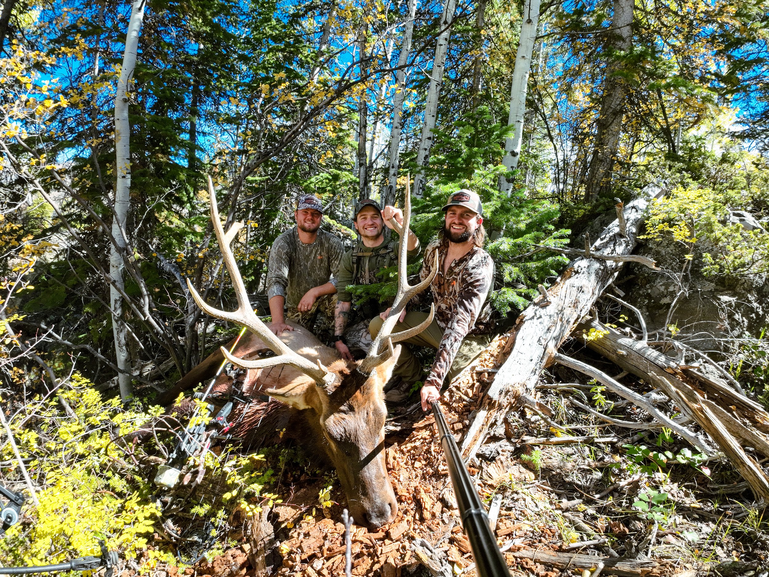elk 23-26.jpg