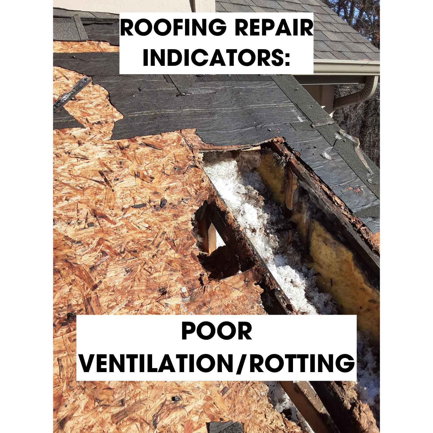 ROOFING REPAIR INDICATORS - POOR VENTILATION AND ROTTING PLYWOOD.png