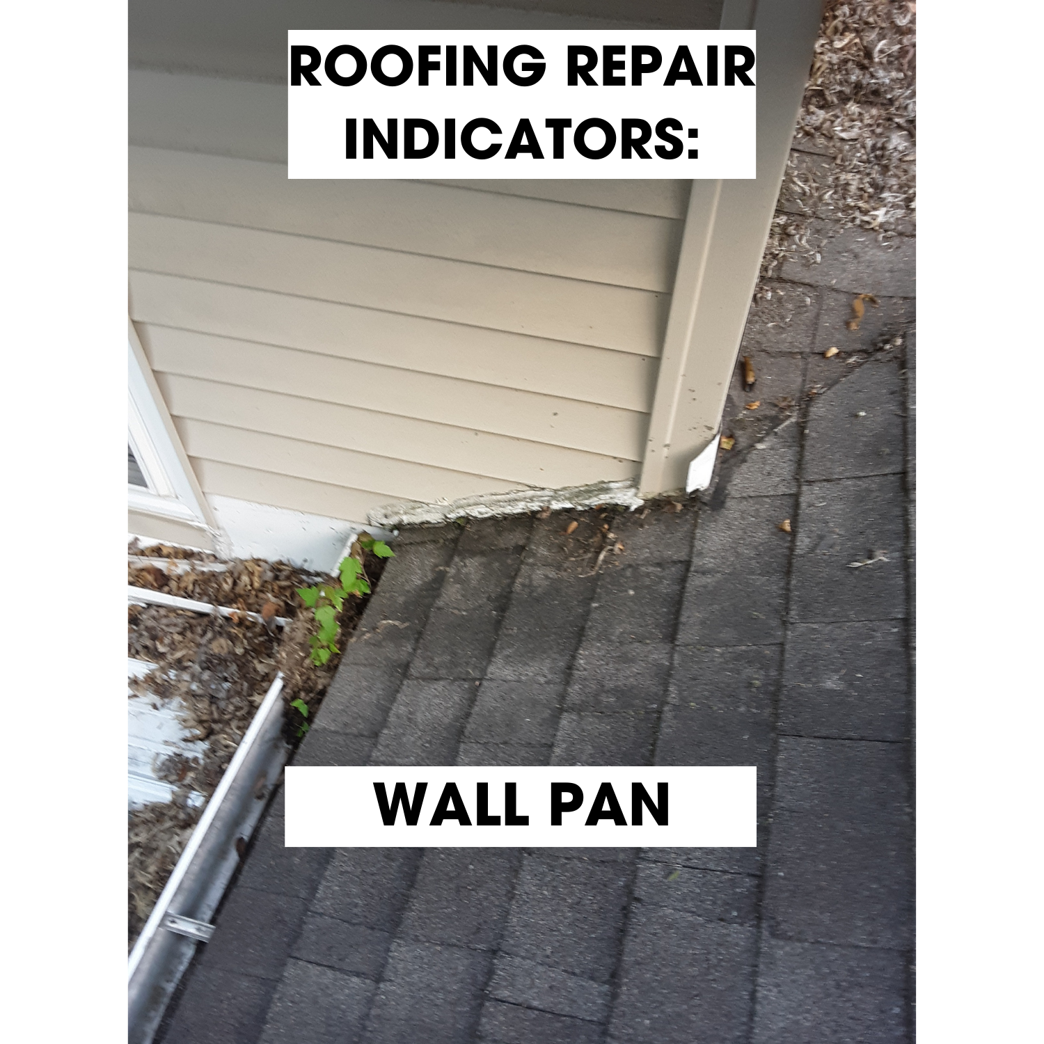 WHEN SHOULD I REPAIR MY ROOF - WALL PAN.png