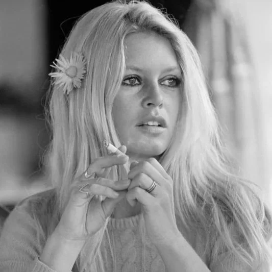 TERRY O'NEILL BRIGITTE BARDOT.jpg