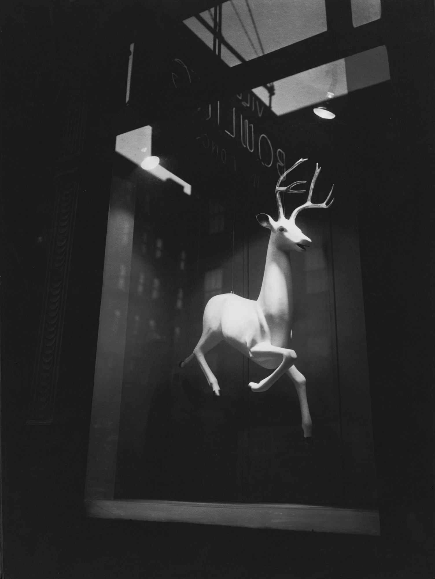 Industrial Designer Window.png