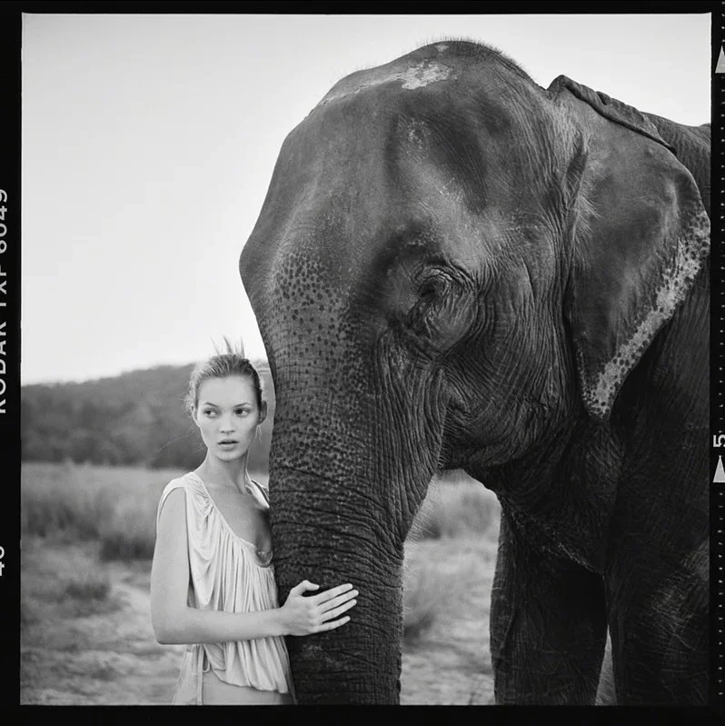 Arthur_Elgort_Kate_Moss_and_Elephant_1993.jpeg