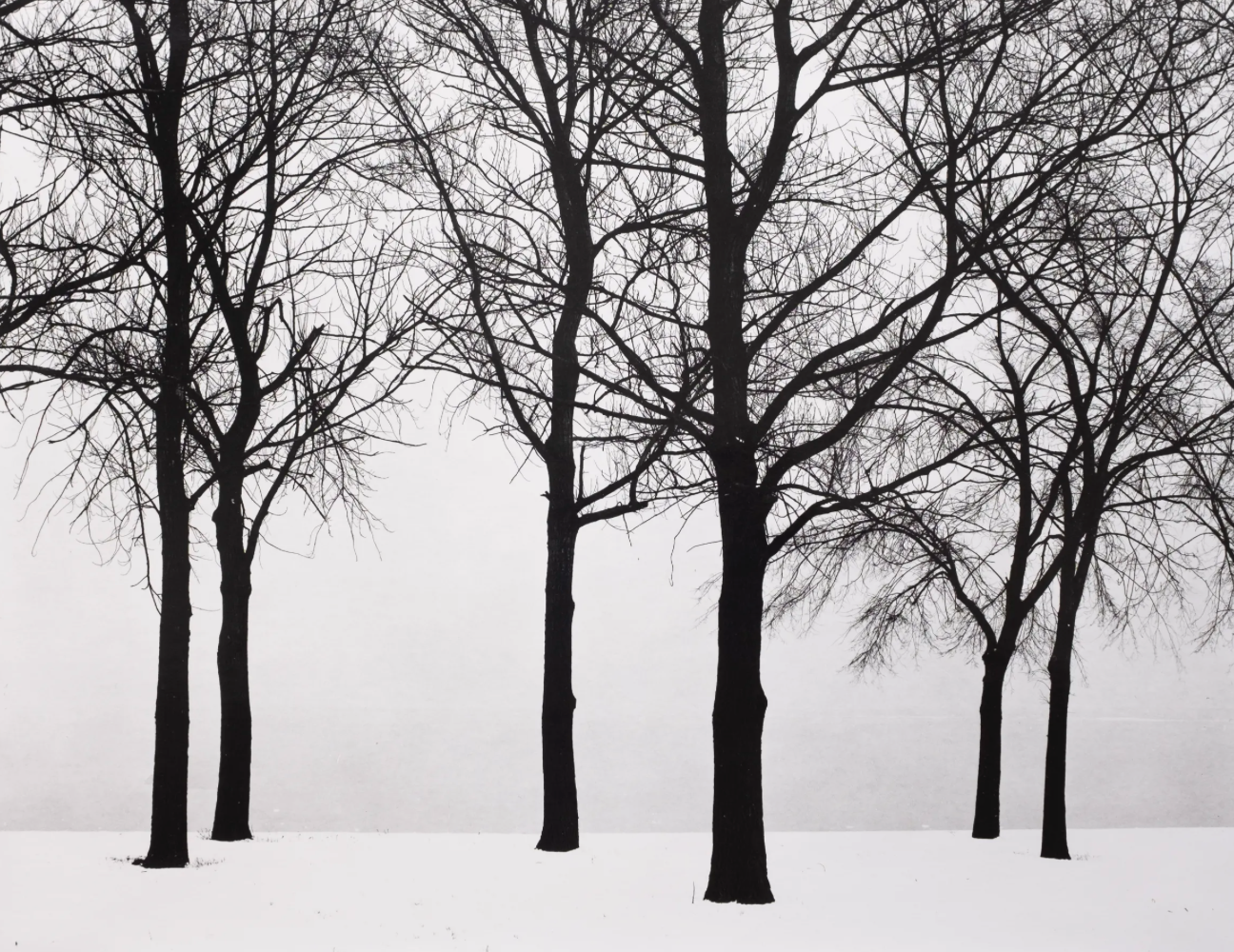 Screenshot 2024-02-19 at 11.04.13 AM.png