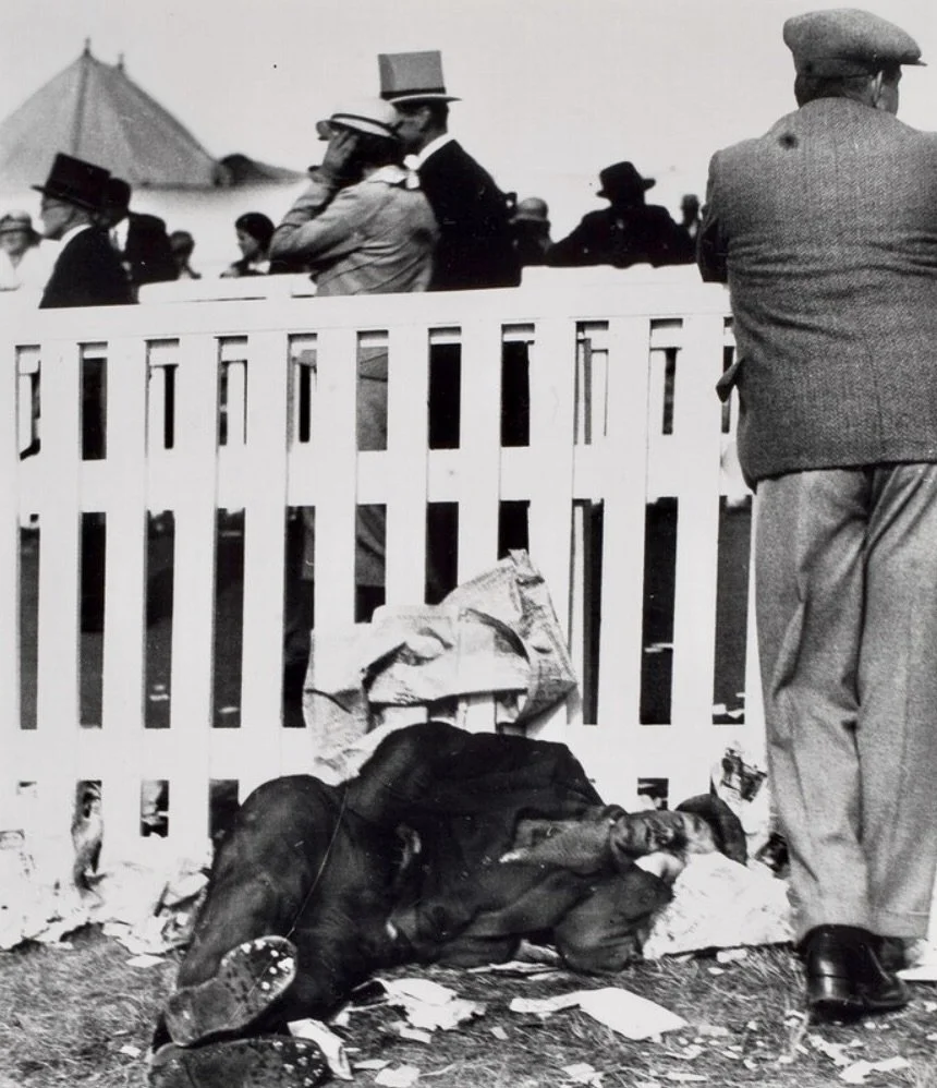 Ascot enclosures, within and without, 1930s.jpeg