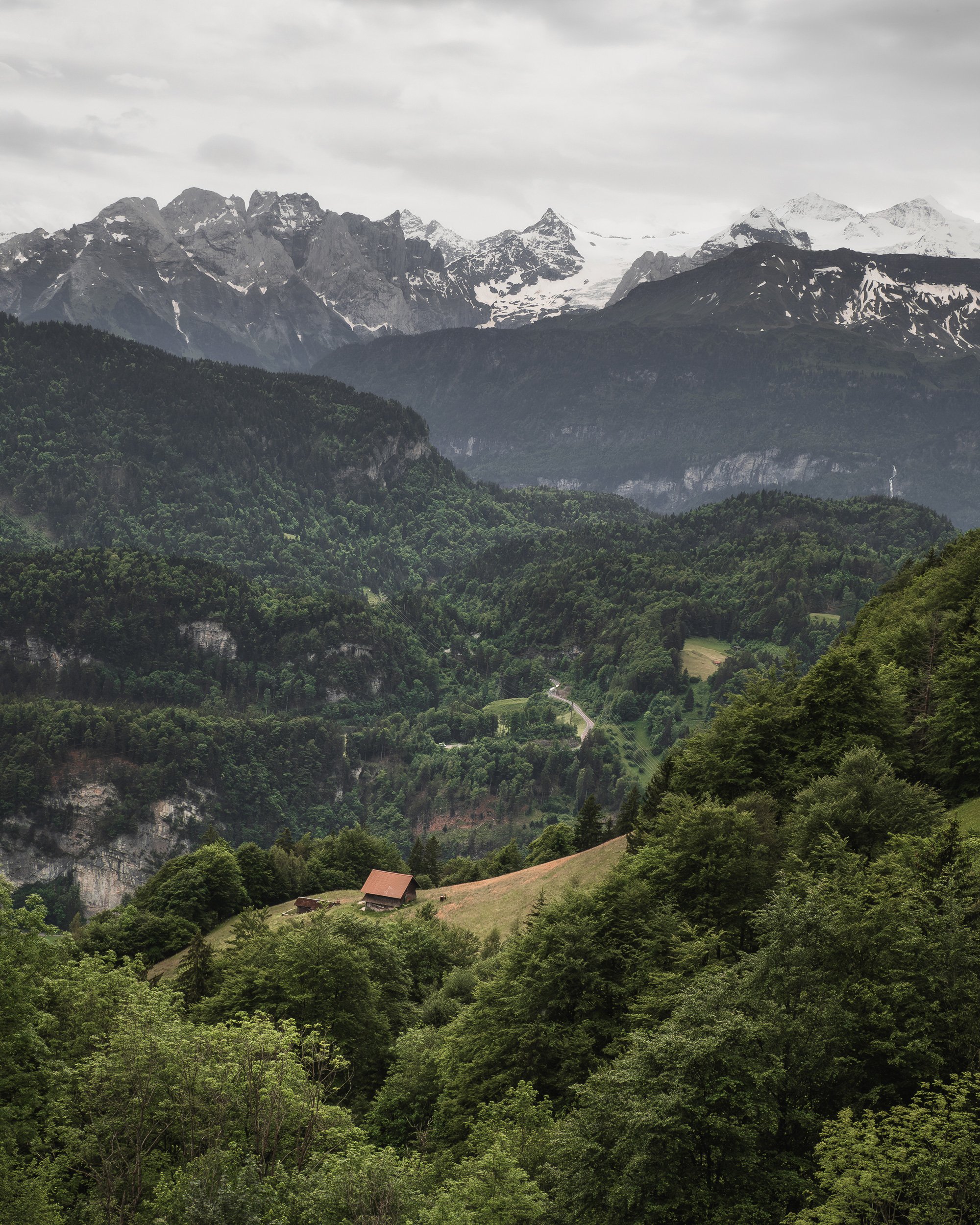 Panoramic view of the Swiss Alps with snow-capped peaks and a remote mountain cabin surrounded by dense green forest.