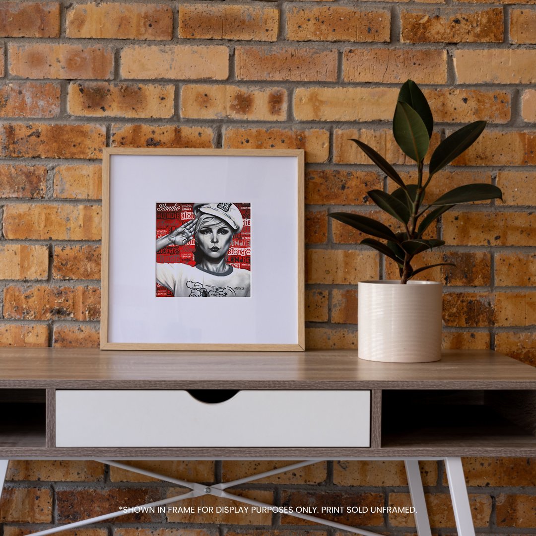 SLAWS-Mockups_0050_Blondie 6x6.jpg