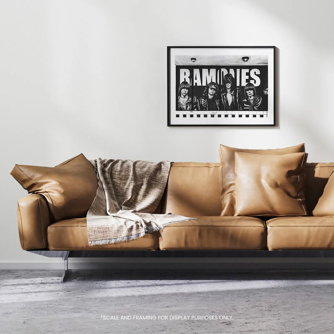 SLAWS-Mockups_0002_Ramones 18x24.jpg