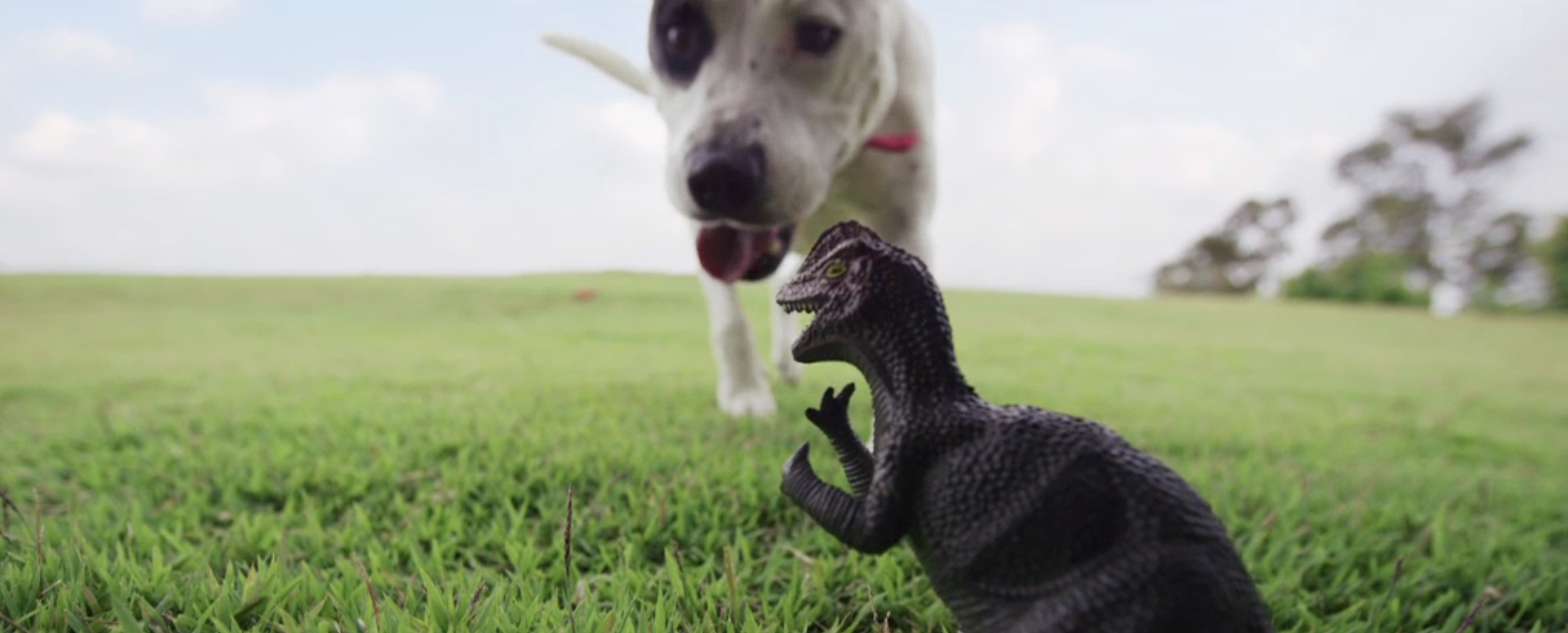 Screenshot 2024-04-23 at 4.52.51 PM.png