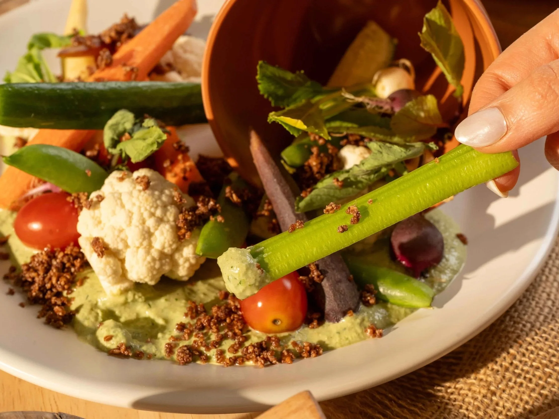 True Food Kitchen - Labor Day Free Starter