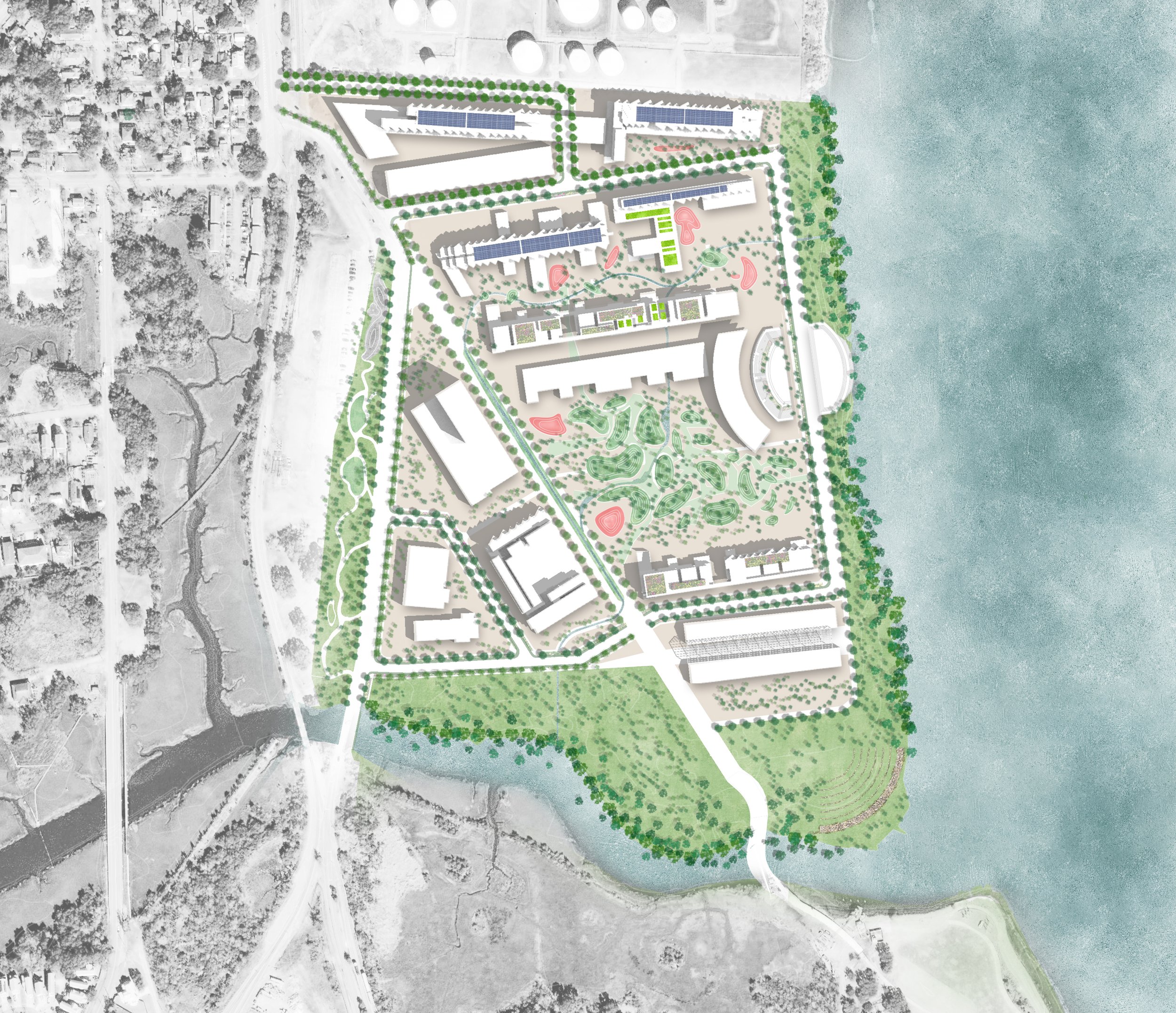 The Seed Site Plan.jpg